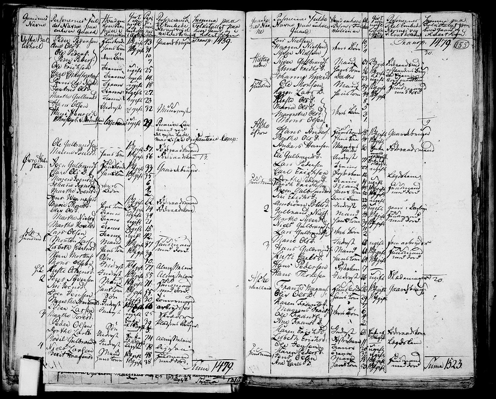 RA, 1801 census for 0411P Nes, 1801, p. 154b-155a