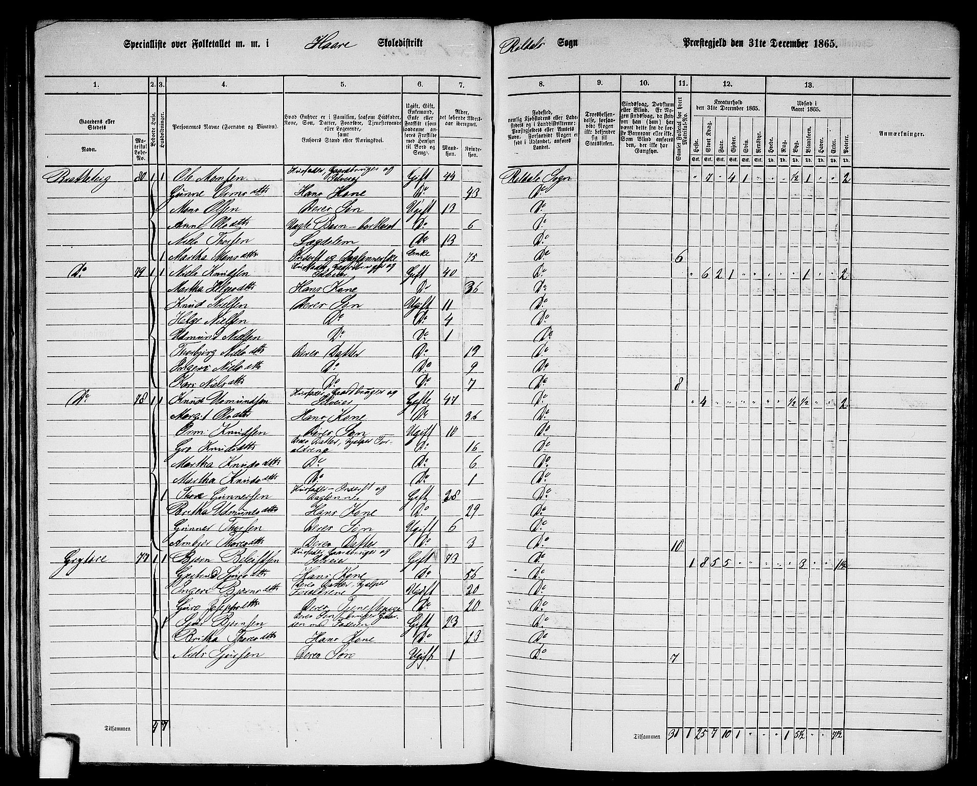 RA, 1865 census for Suldal, 1865, p. 172