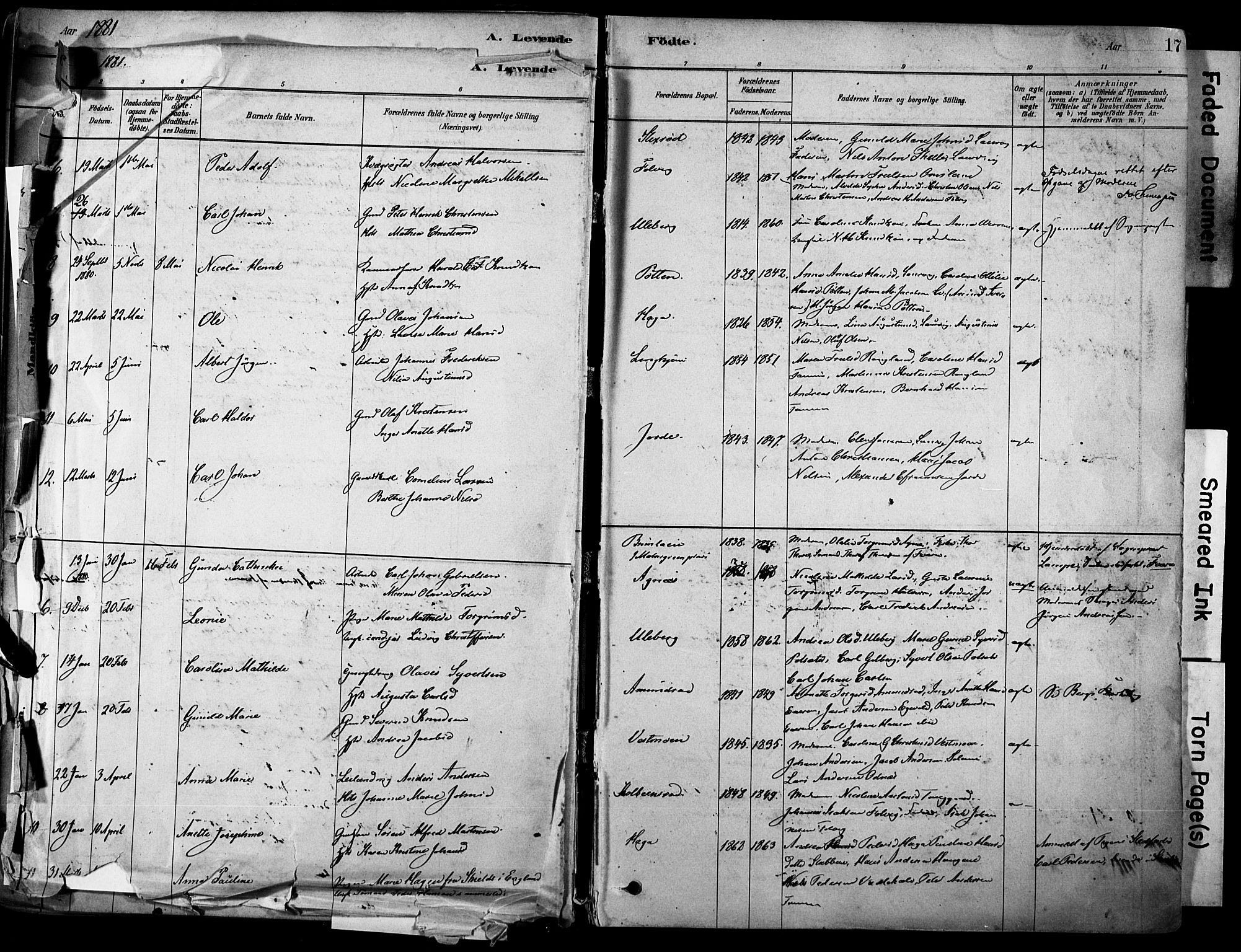 Brunlanes kirkebøker, AV/SAKO-A-342/F/Fc/L0001: Parish register (official) no. III 1, 1878-1899, p. 17