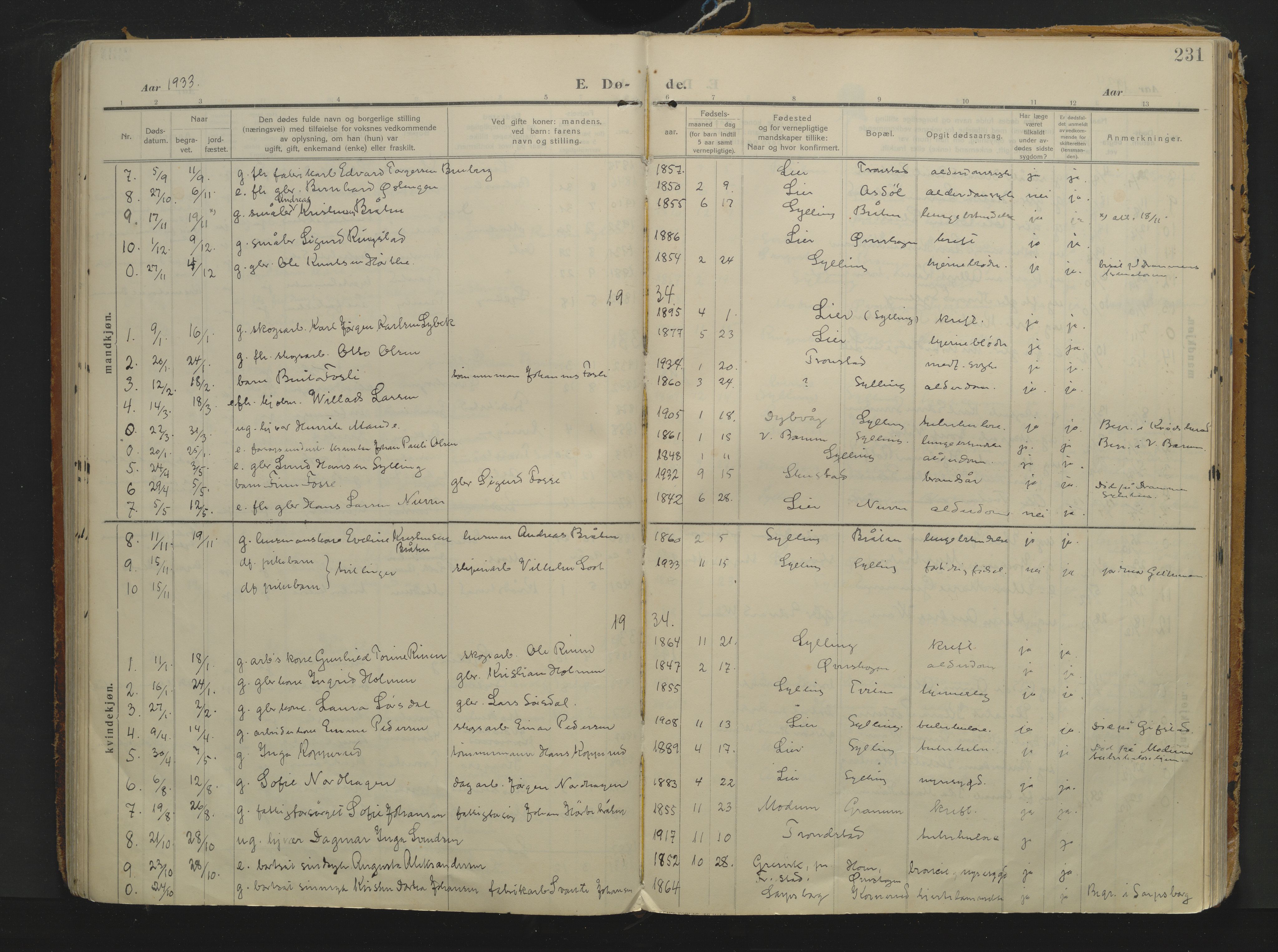 Sylling kirkebøker, AV/SAKO-A-247/F/Fa/L0002: Parish register (official) no. 2, 1906-1936, p. 231