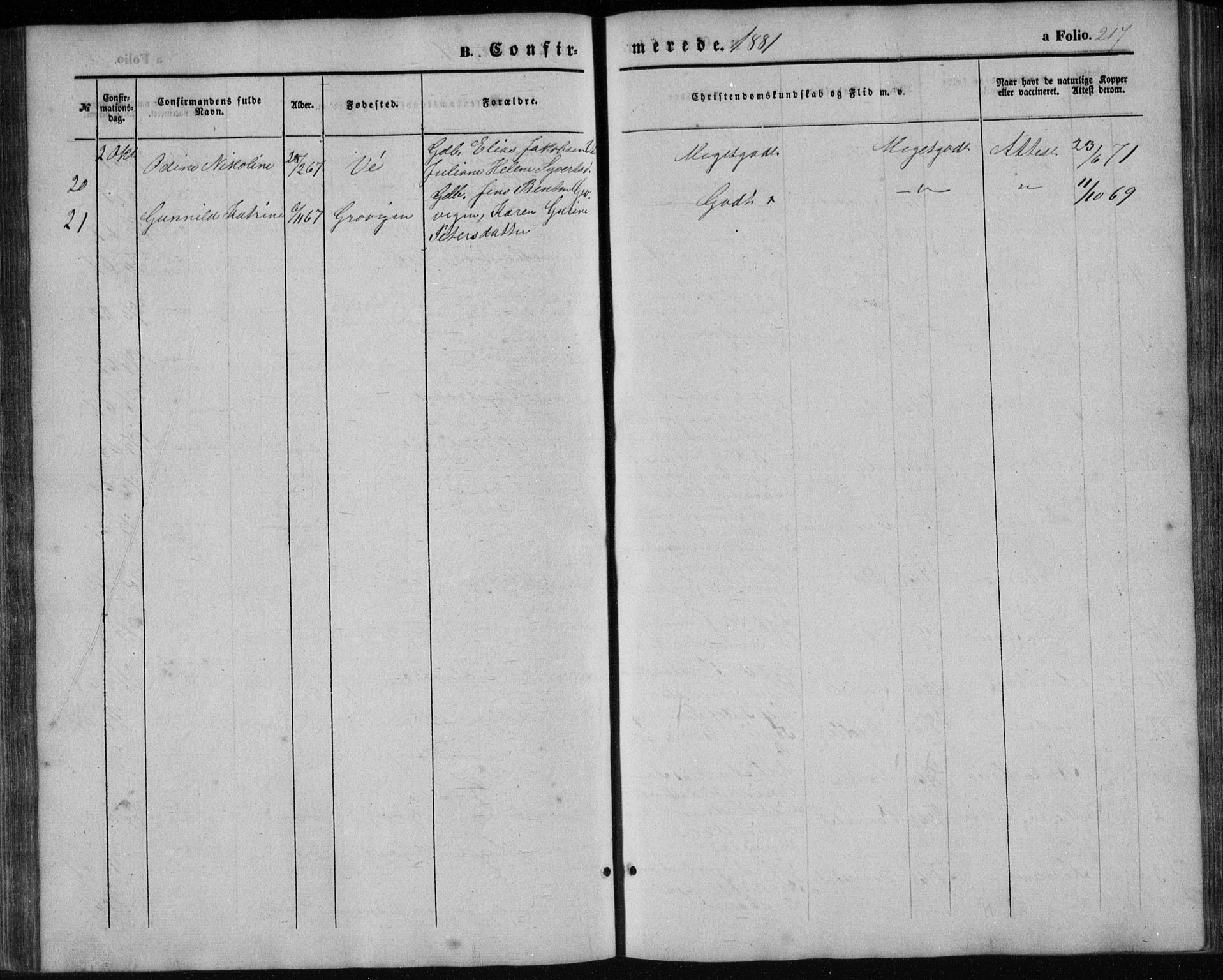 Tveit sokneprestkontor, AV/SAK-1111-0043/F/Fb/L0003: Parish register (copy) no. B 3, 1854-1886, p. 217