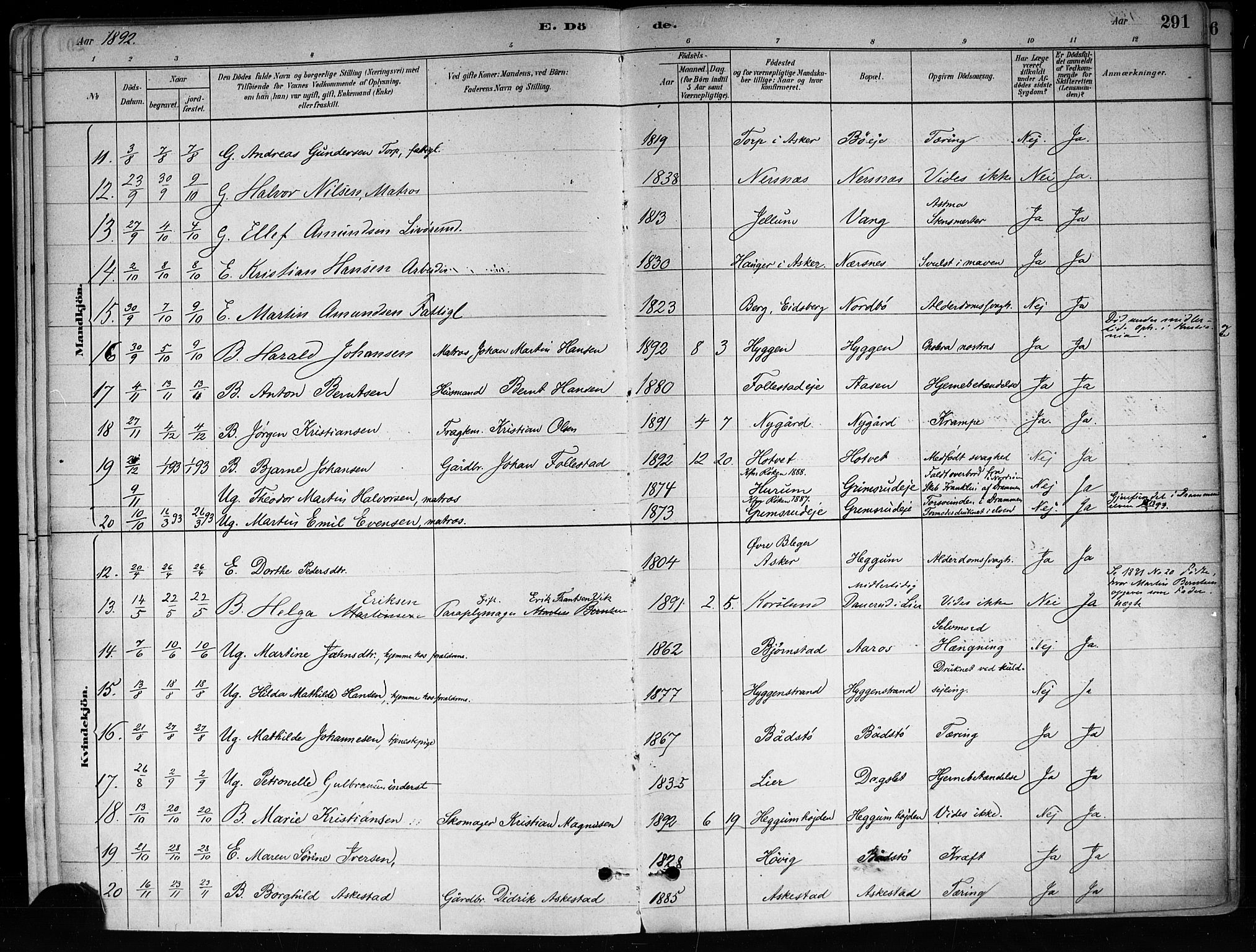 Røyken kirkebøker, SAKO/A-241/F/Fa/L0008: Parish register (official) no. 8, 1880-1897, p. 291