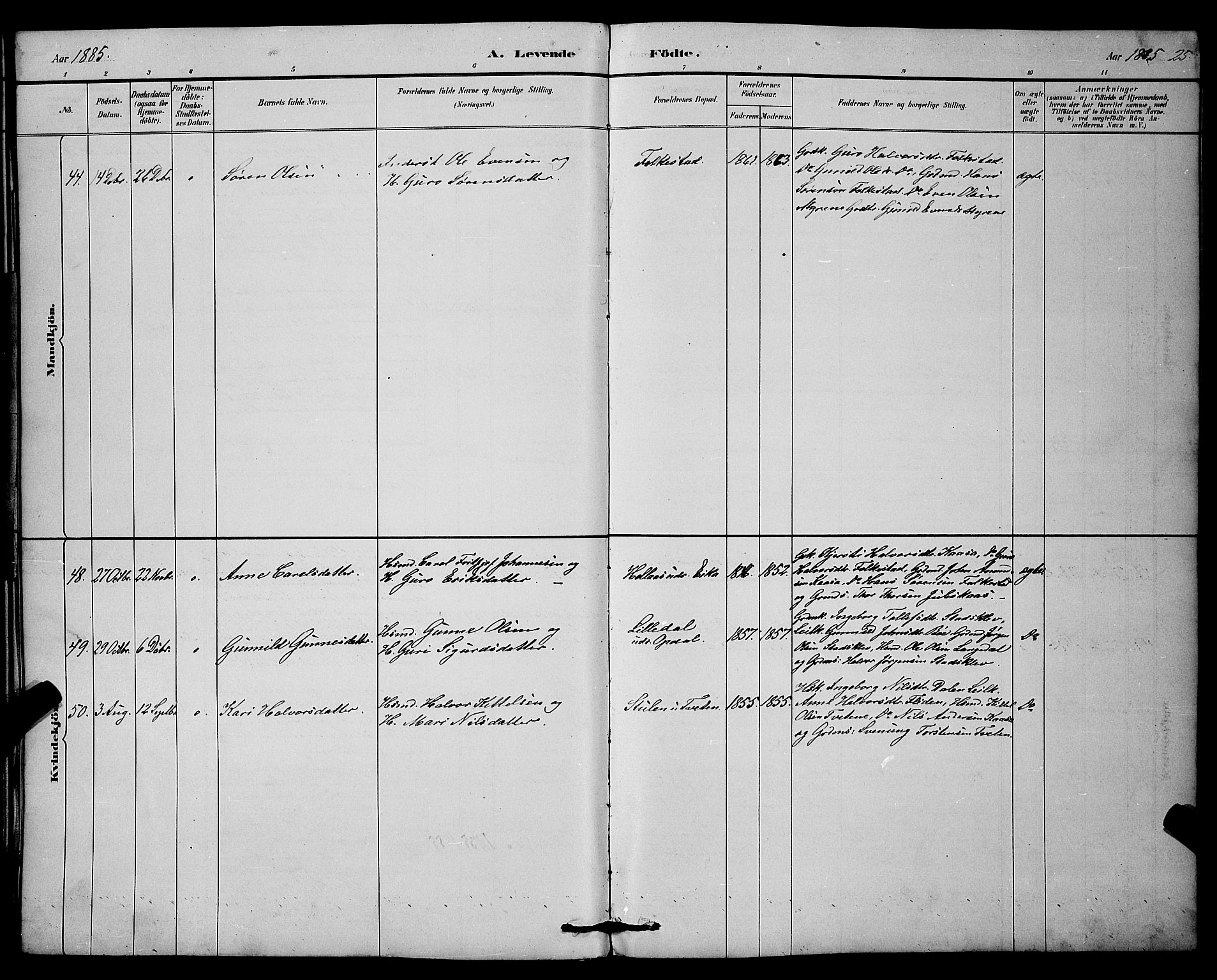 Bø kirkebøker, AV/SAKO-A-257/G/Ga/L0005: Parish register (copy) no. 5, 1883-1897, p. 25