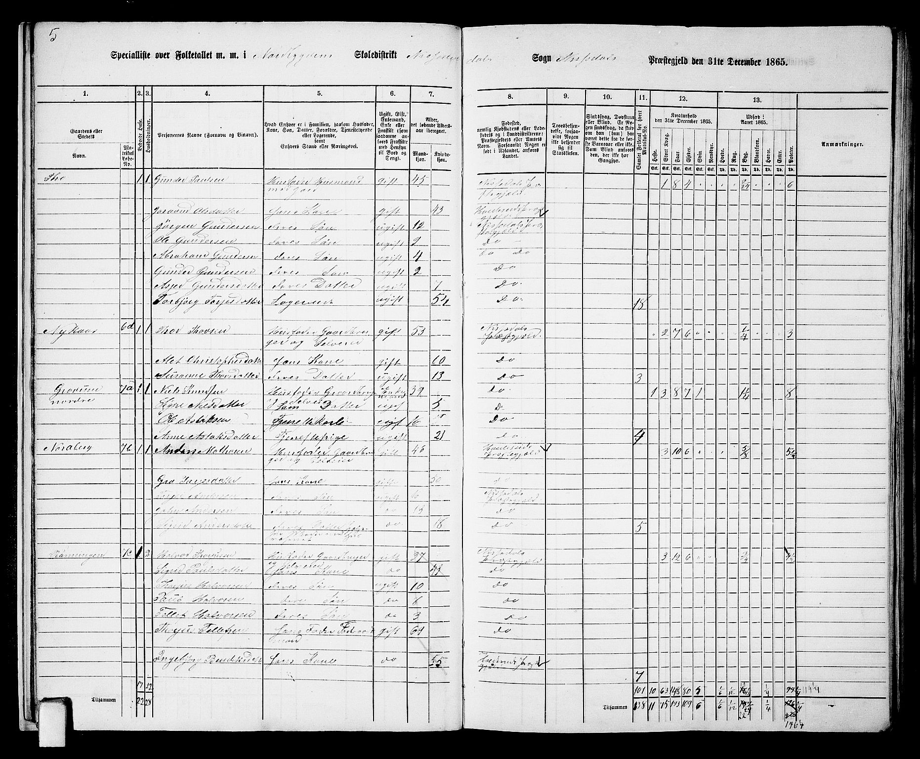 RA, 1865 census for Nissedal, 1865, p. 15