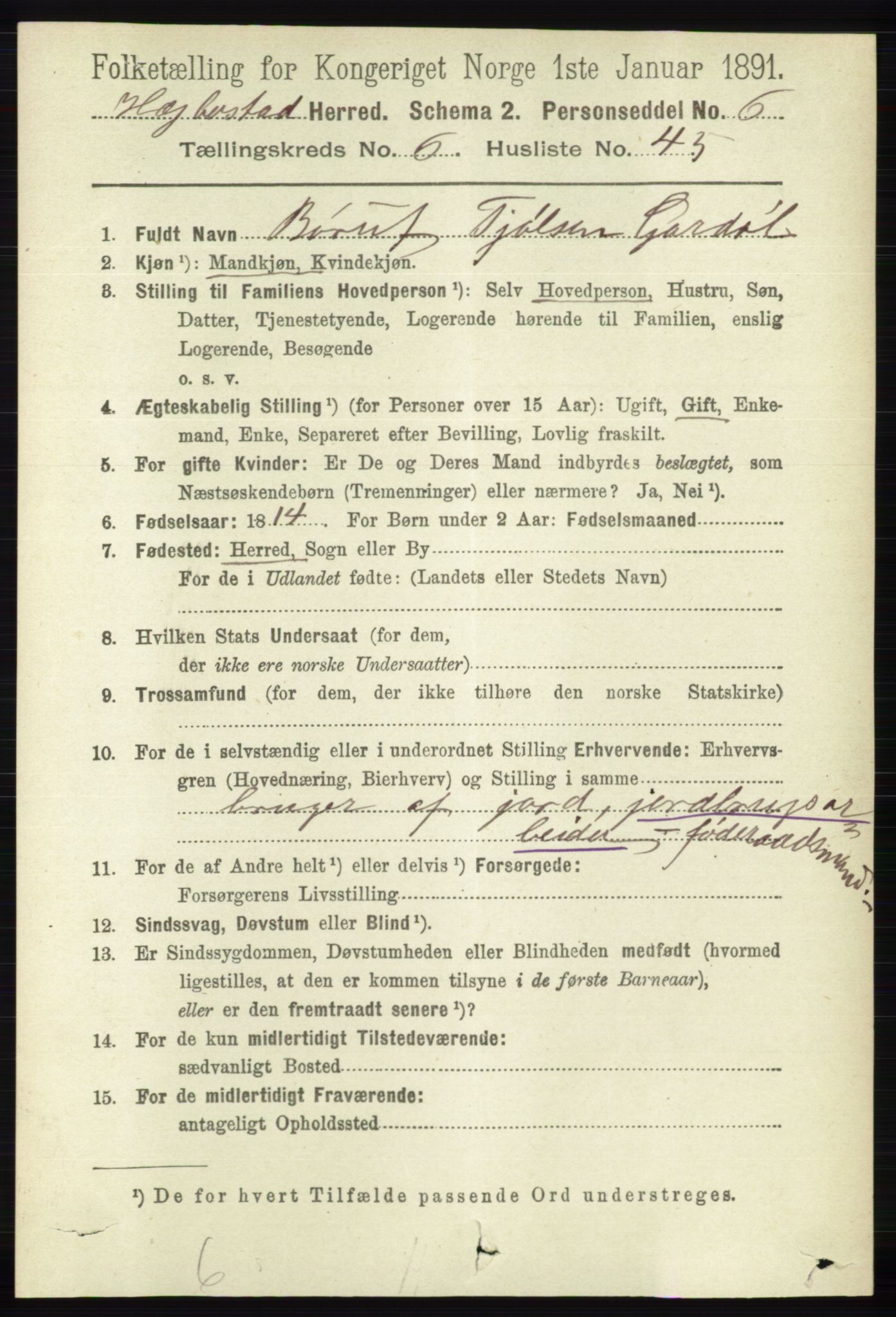 RA, 1891 census for 1034 Hægebostad, 1891, p. 2044