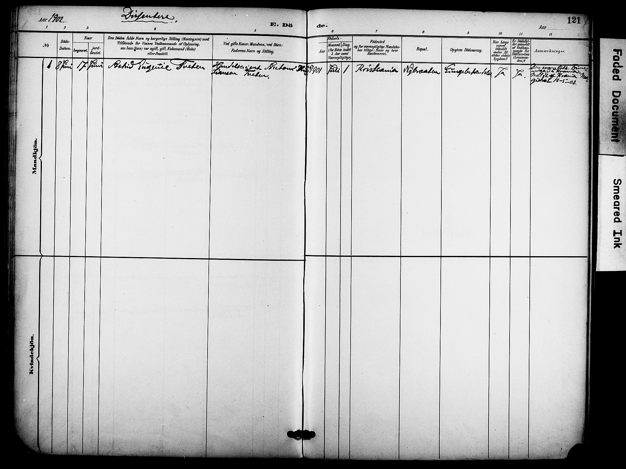 Hole kirkebøker, SAKO/A-228/F/Fb/L0002: Parish register (official) no. II 2, 1892-1906, p. 121