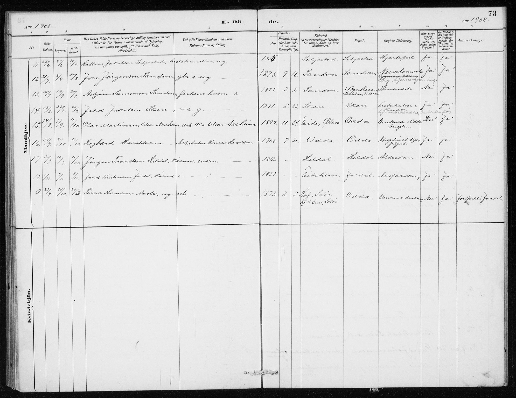 Odda Sokneprestembete, SAB/A-77201/H/Haa: Parish register (official) no. D 1, 1887-1914, p. 73