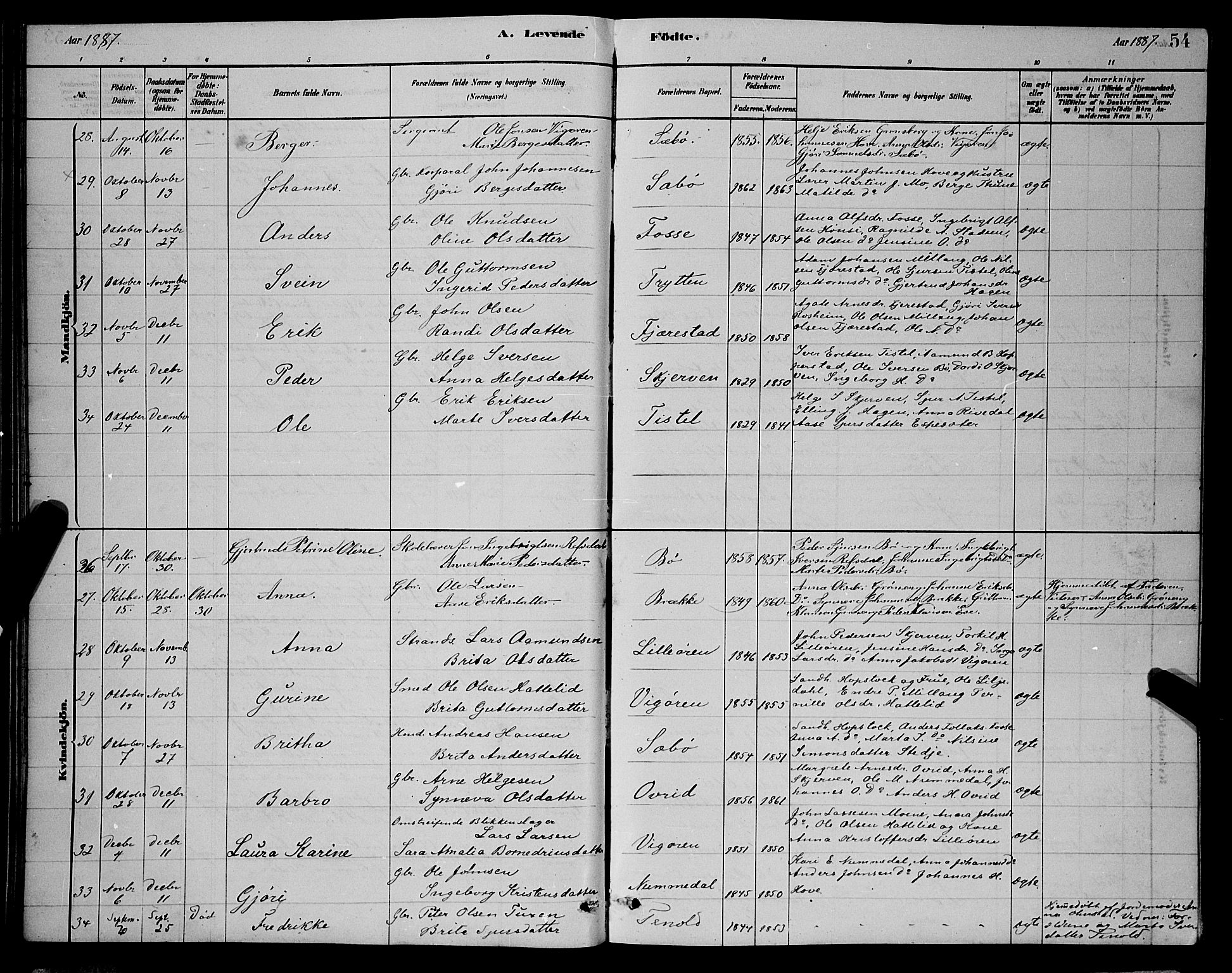 Vik sokneprestembete, SAB/A-81501: Parish register (copy) no. A 3, 1878-1894, p. 54