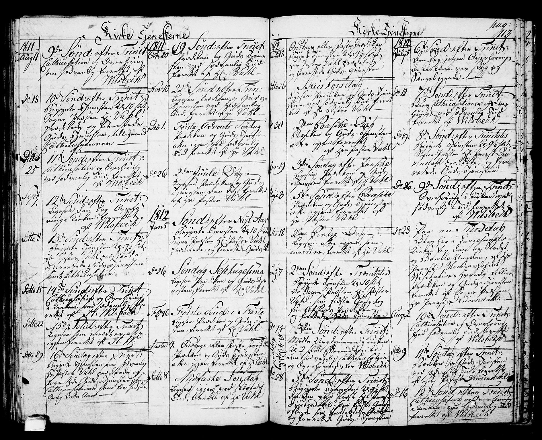 Langesund kirkebøker, SAKO/A-280/G/Ga/L0002: Parish register (copy) no. 2, 1801-1815, p. 113