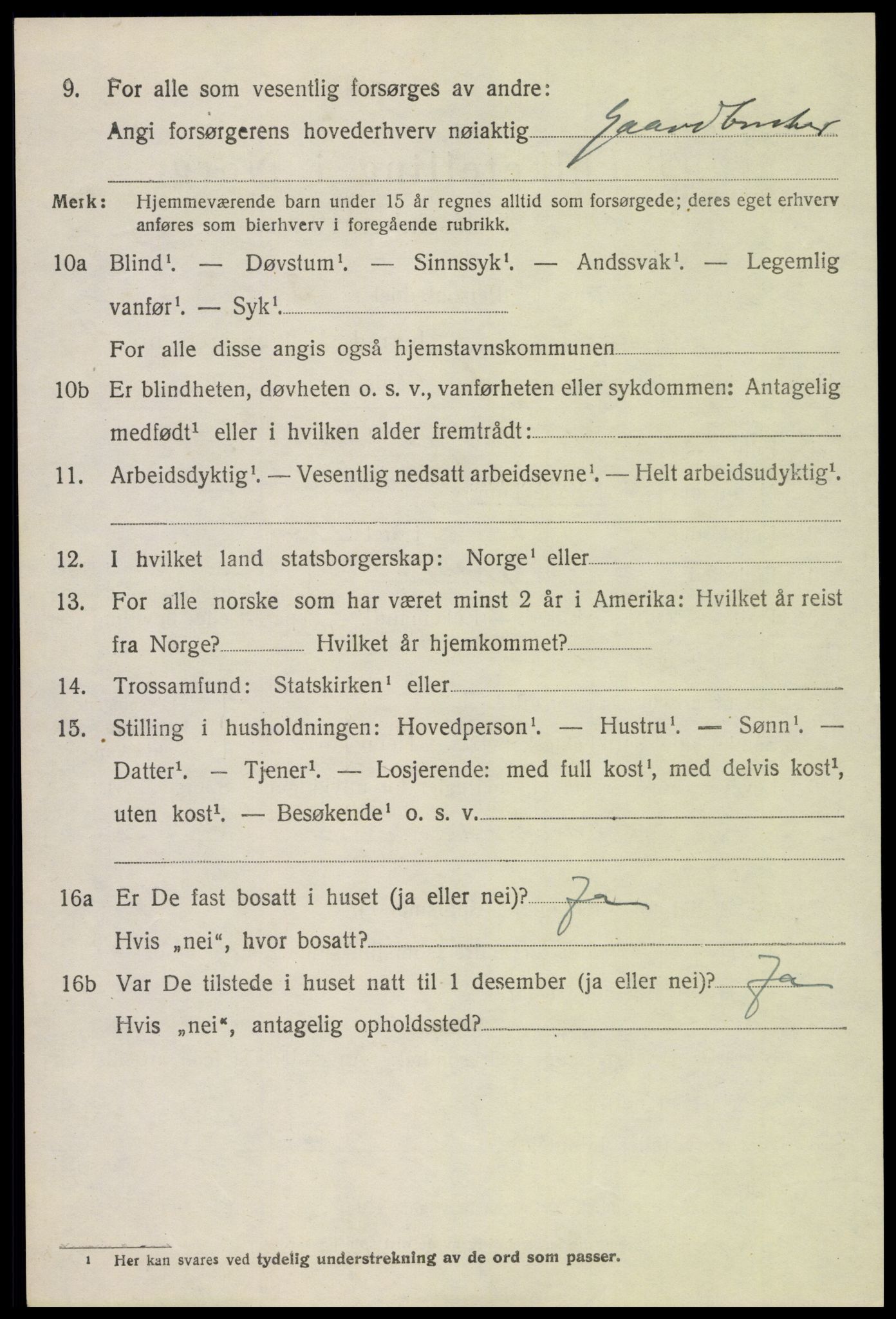 SAH, 1920 census for Skjåk, 1920, p. 4941