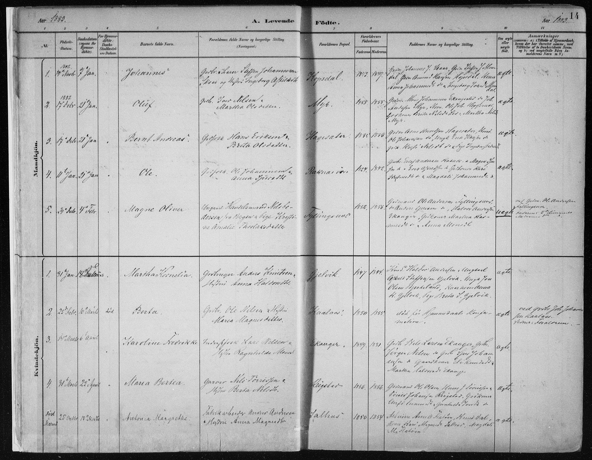 Hamre sokneprestembete, SAB/A-75501/H/Ha/Haa/Haab/L0001: Parish register (official) no. B  1, 1882-1905, p. 14