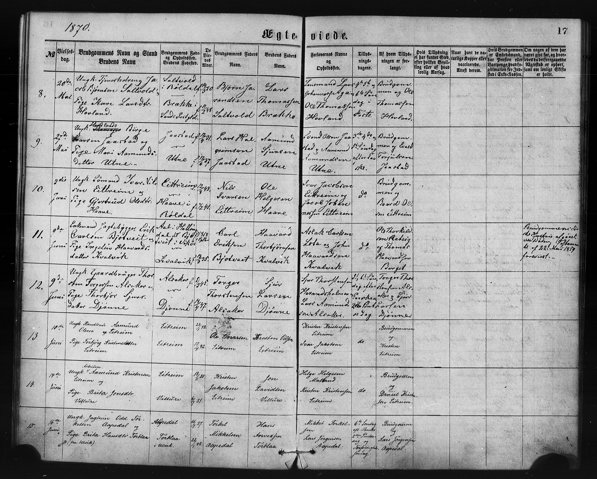 Ullensvang sokneprestembete, SAB/A-78701/H/Haa: Parish register (official) no. A 14, 1867-1882, p. 17