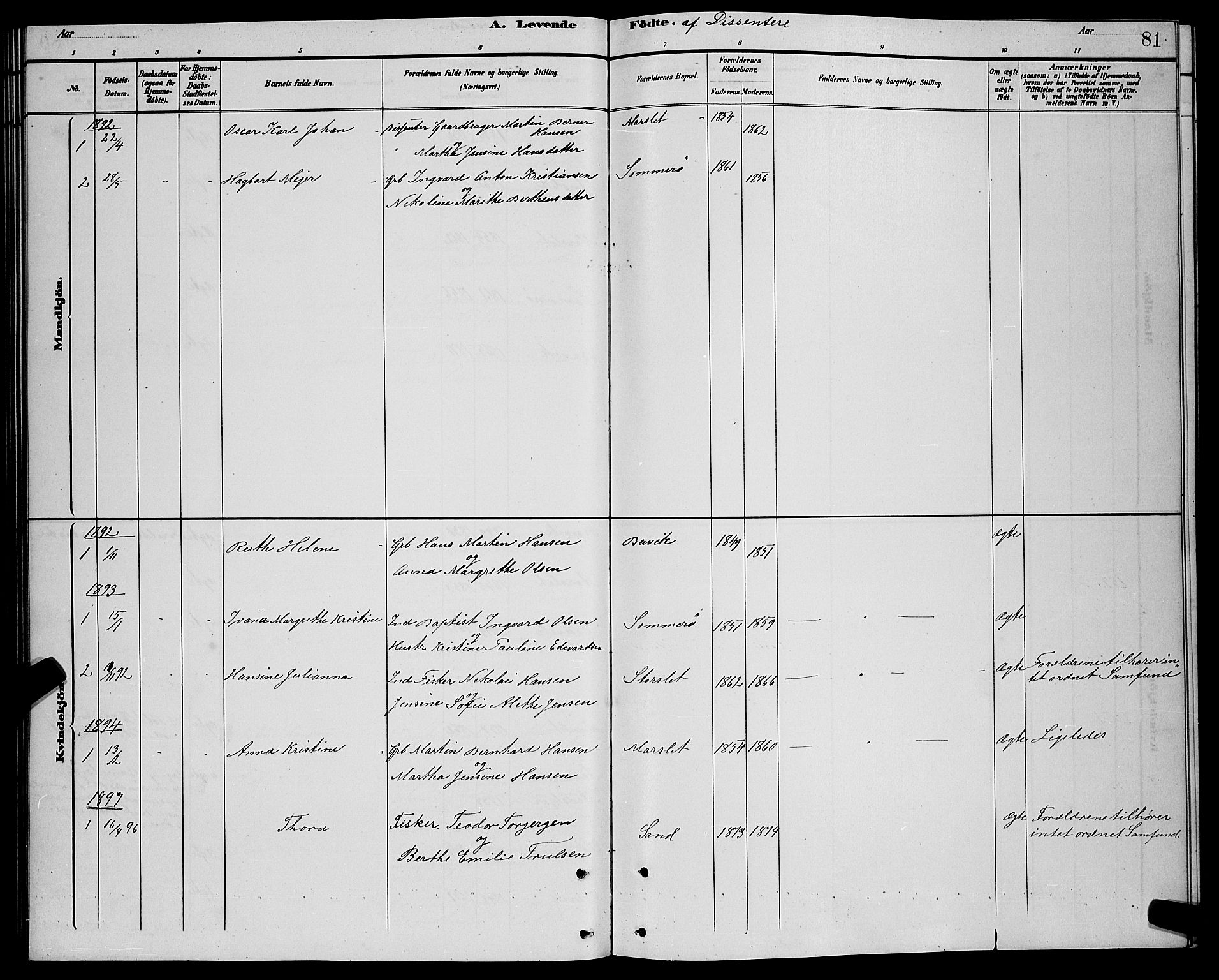 Lenvik sokneprestembete, SATØ/S-1310/H/Ha/Hab/L0021klokker: Parish register (copy) no. 21, 1884-1900, p. 81