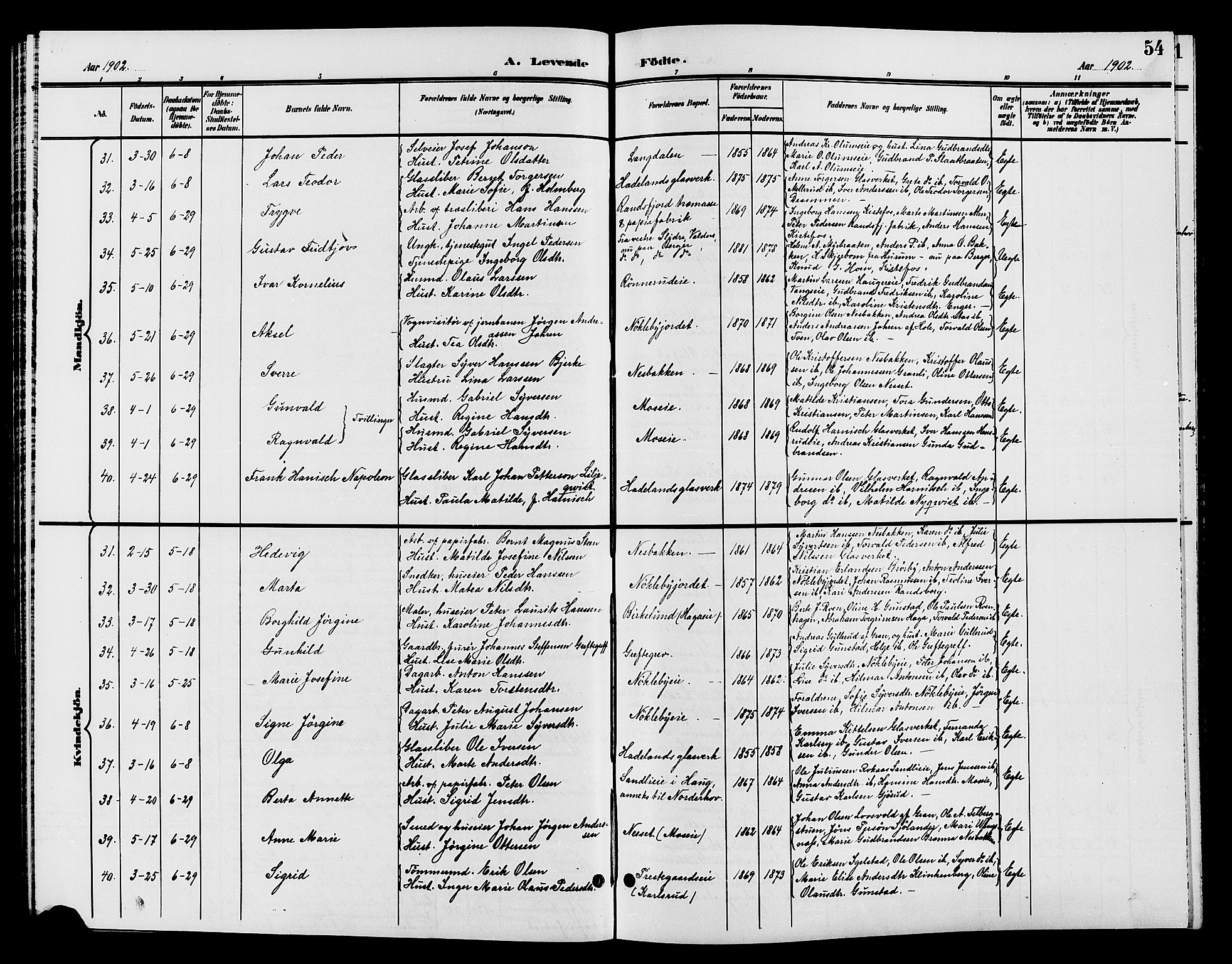 Jevnaker prestekontor, AV/SAH-PREST-116/H/Ha/Hab/L0002: Parish register (copy) no. 2, 1896-1906, p. 54