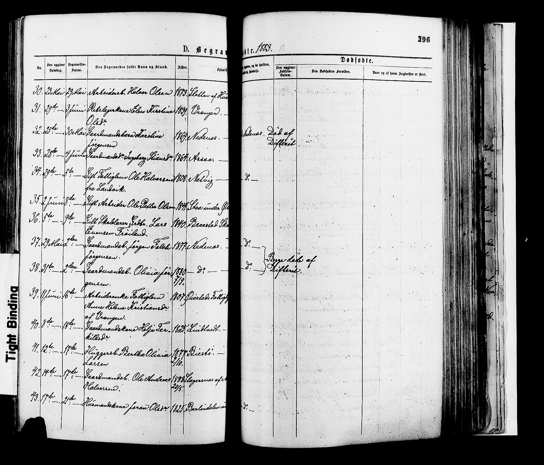 Øyestad sokneprestkontor, AV/SAK-1111-0049/F/Fa/L0016: Parish register (official) no. A 16, 1874-1886, p. 396