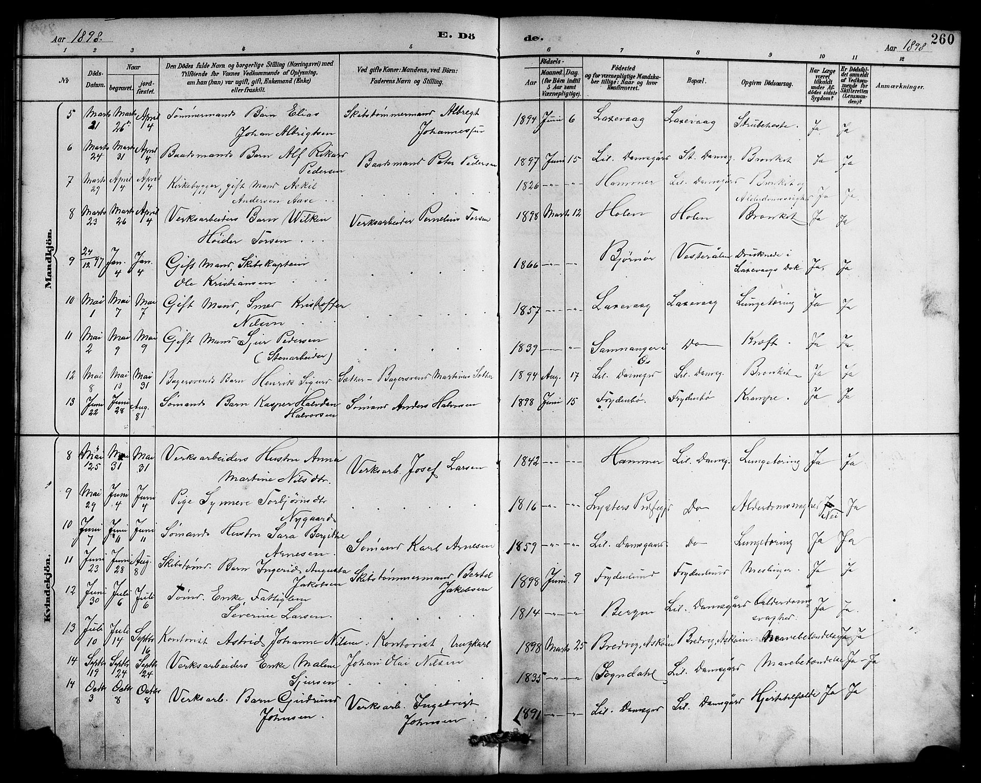 Laksevåg Sokneprestembete, AV/SAB-A-76501/H/Ha/Hab/Haba/L0003: Parish register (copy) no. A 3, 1887-1899, p. 260