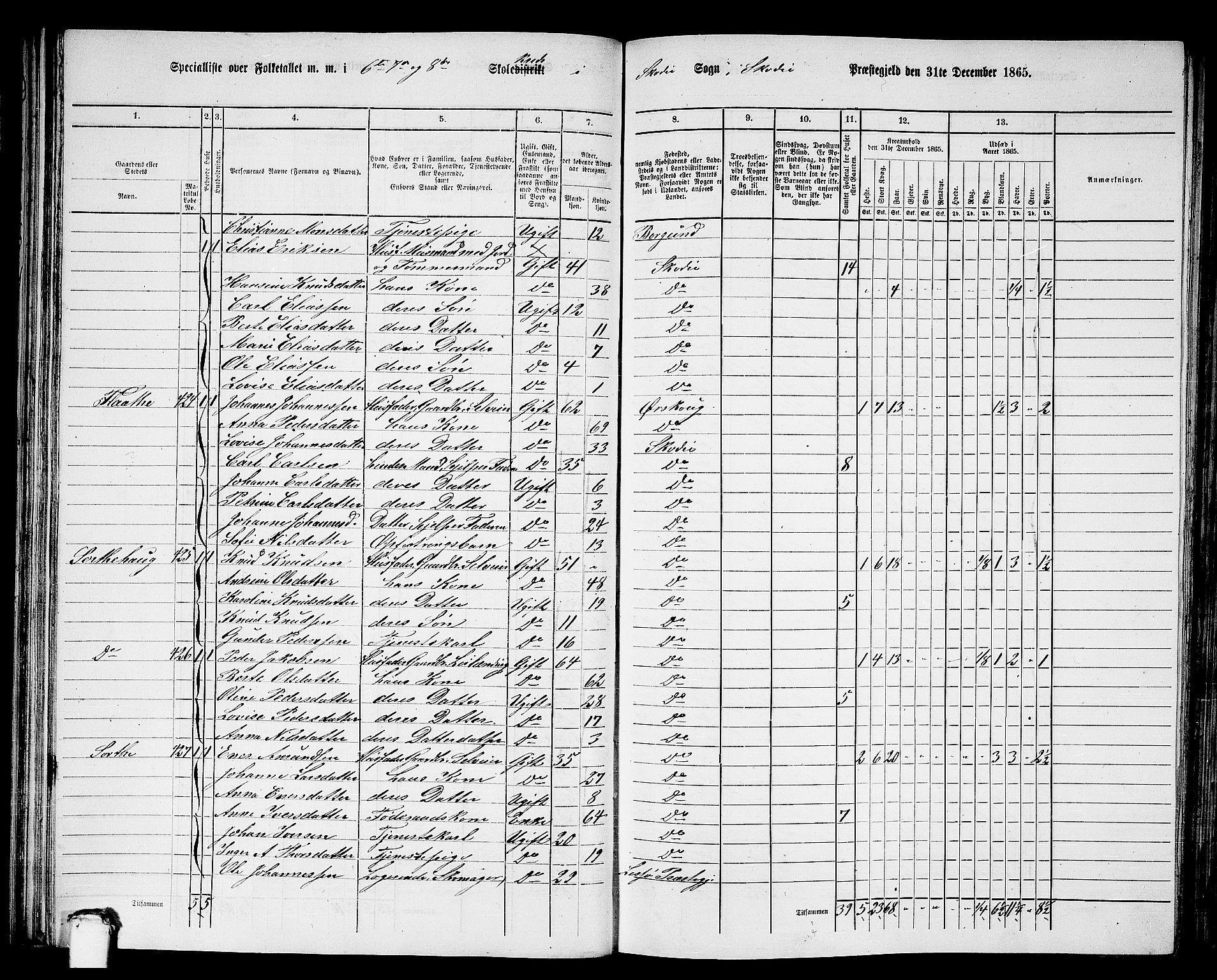 RA, 1865 census for Skodje, 1865, p. 52