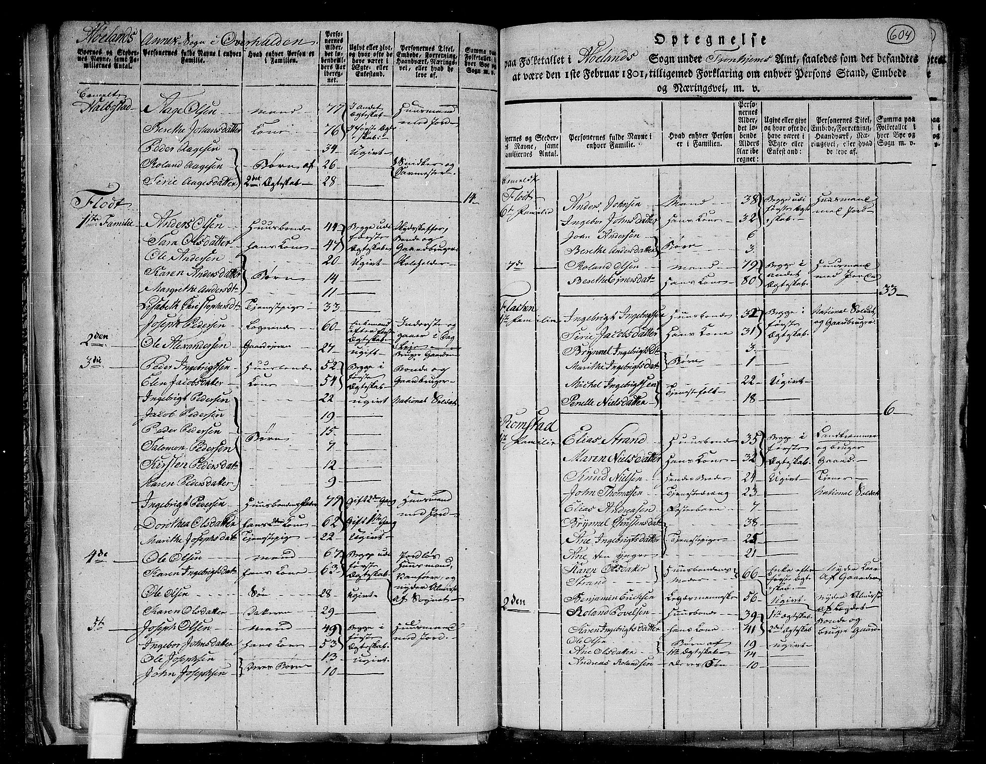 RA, 1801 census for 1744P Overhalla, 1801, p. 603b-604a