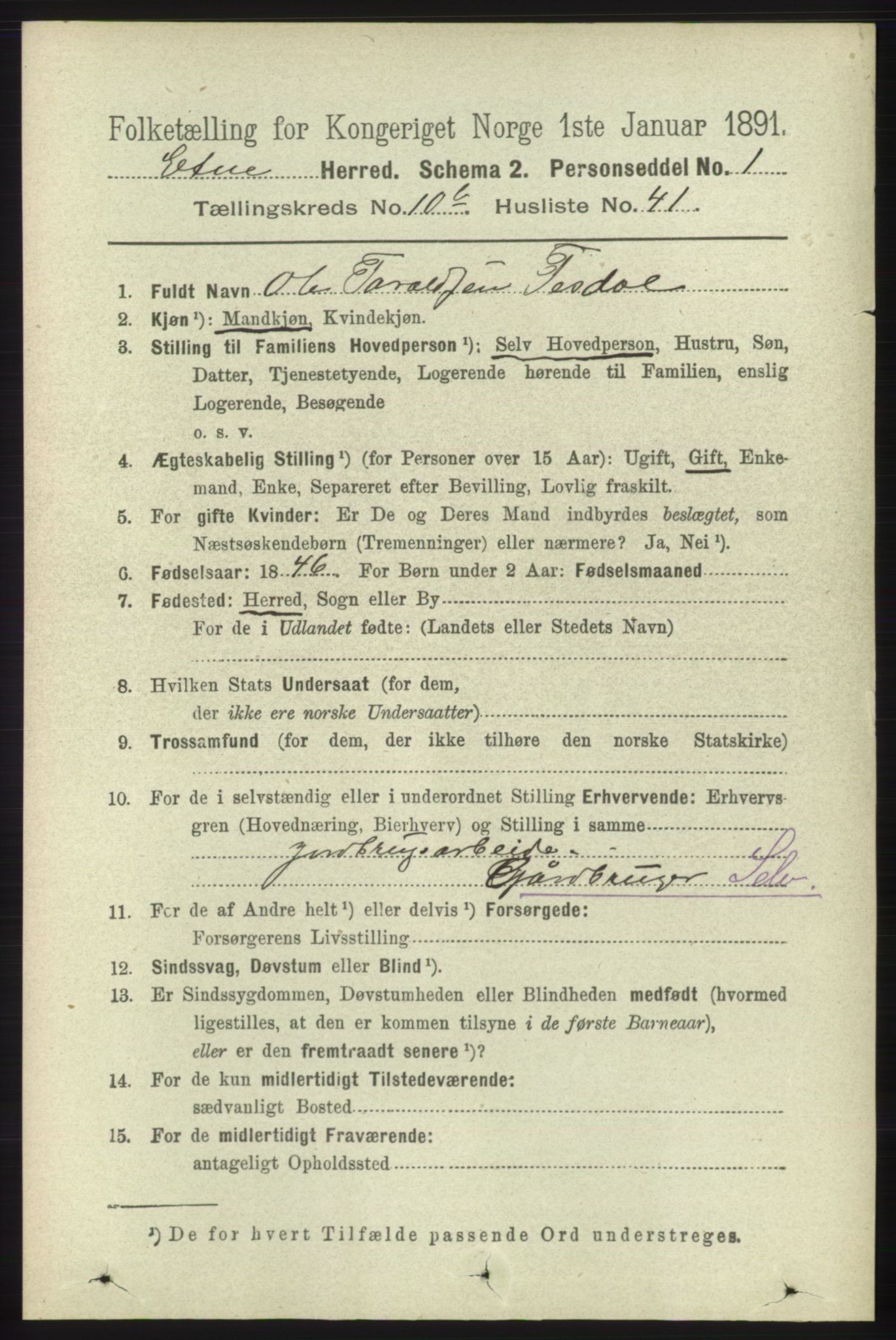 RA, 1891 census for 1211 Etne, 1891, p. 2160