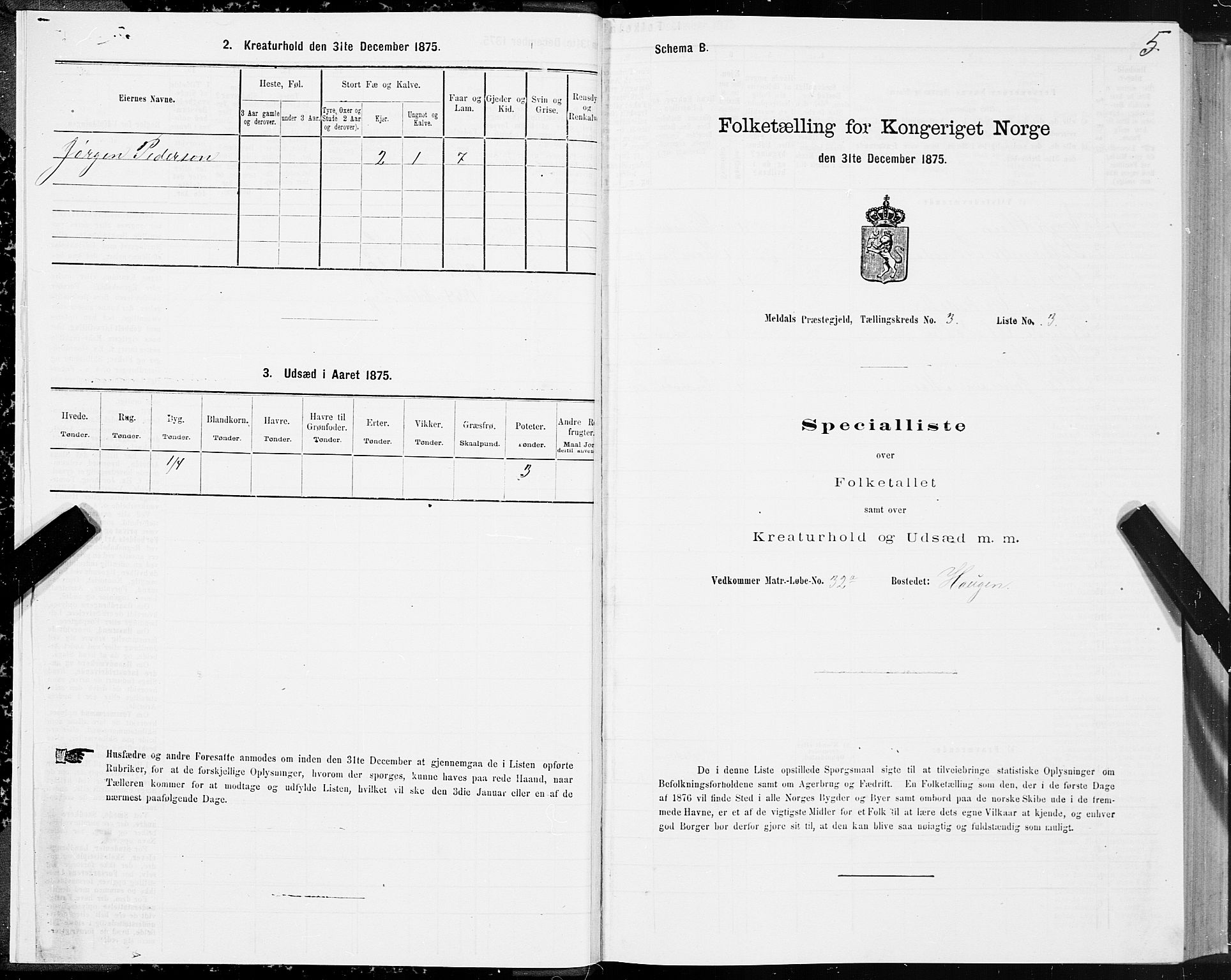 SAT, 1875 census for 1636P Meldal, 1875, p. 2005