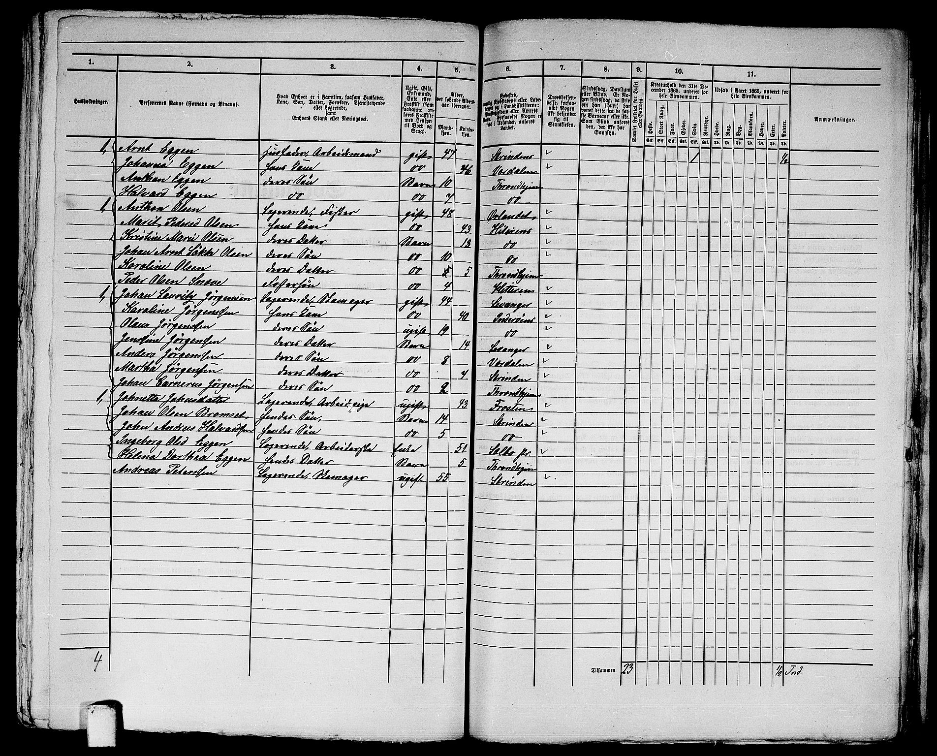 RA, 1865 census for Trondheim, 1865, p. 3065