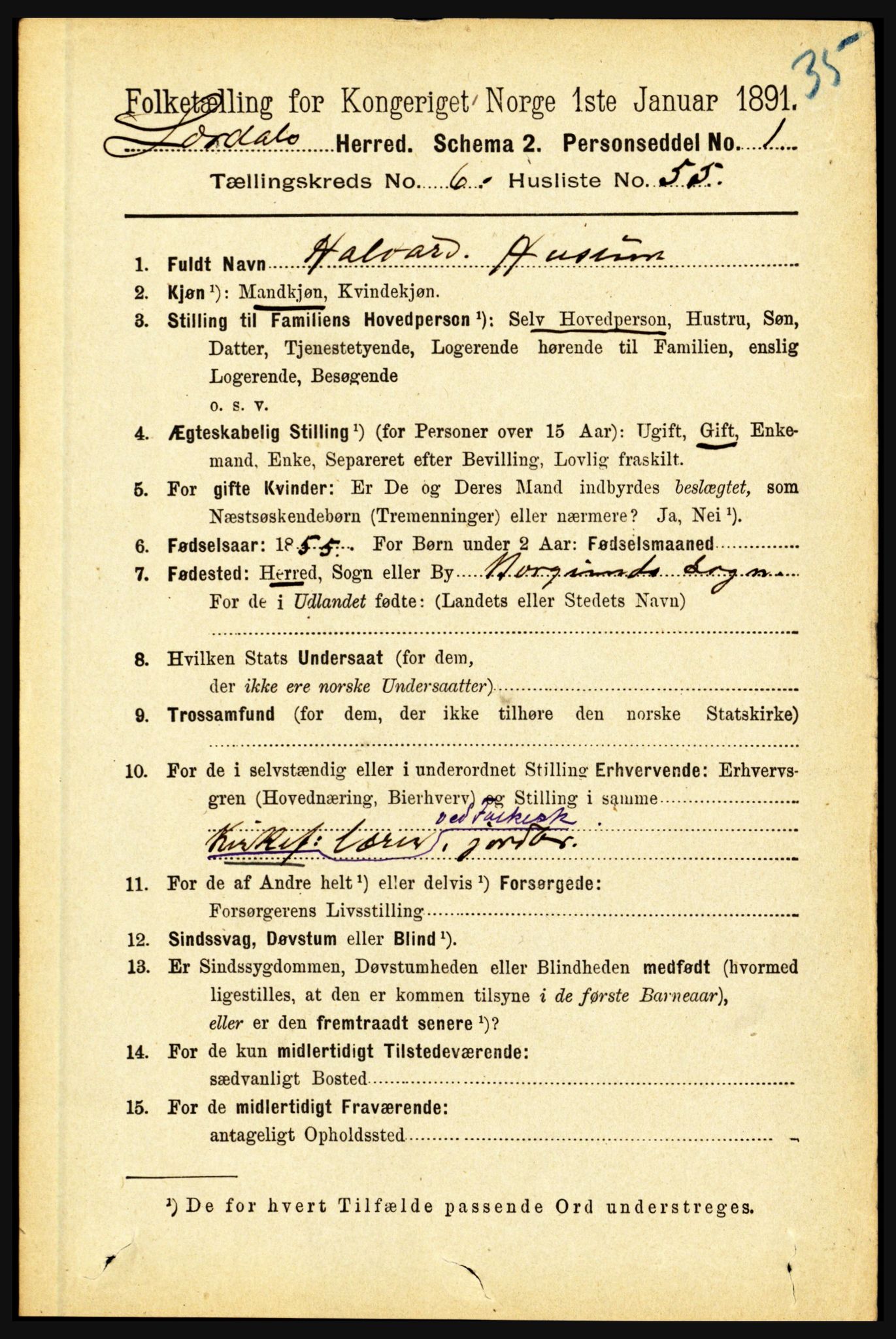 RA, 1891 census for 1422 Lærdal, 1891, p. 738