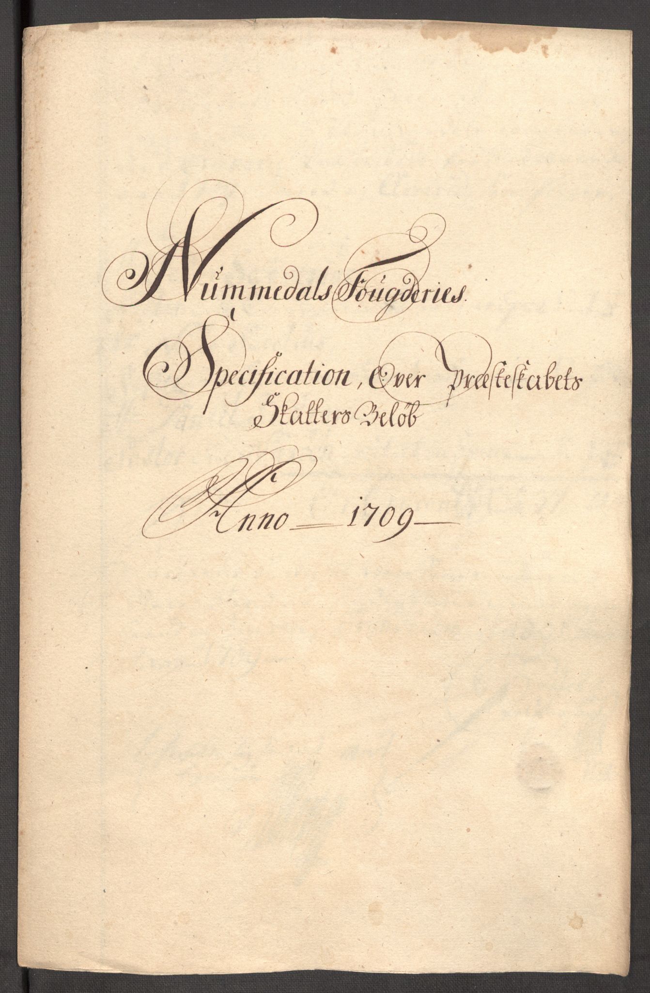 Rentekammeret inntil 1814, Reviderte regnskaper, Fogderegnskap, AV/RA-EA-4092/R64/L4431: Fogderegnskap Namdal, 1709-1710, p. 105