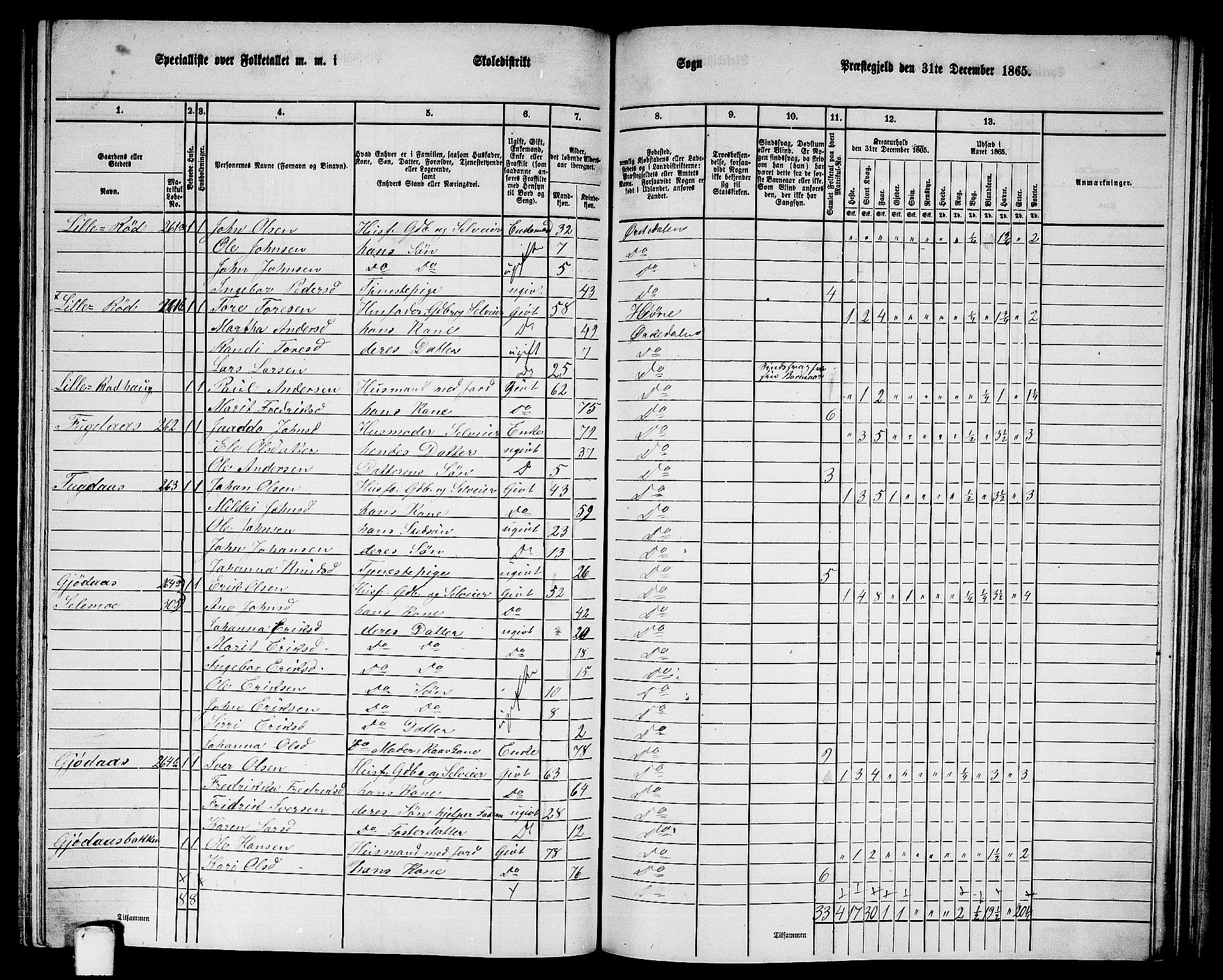 RA, 1865 census for Orkdal, 1865, p. 202