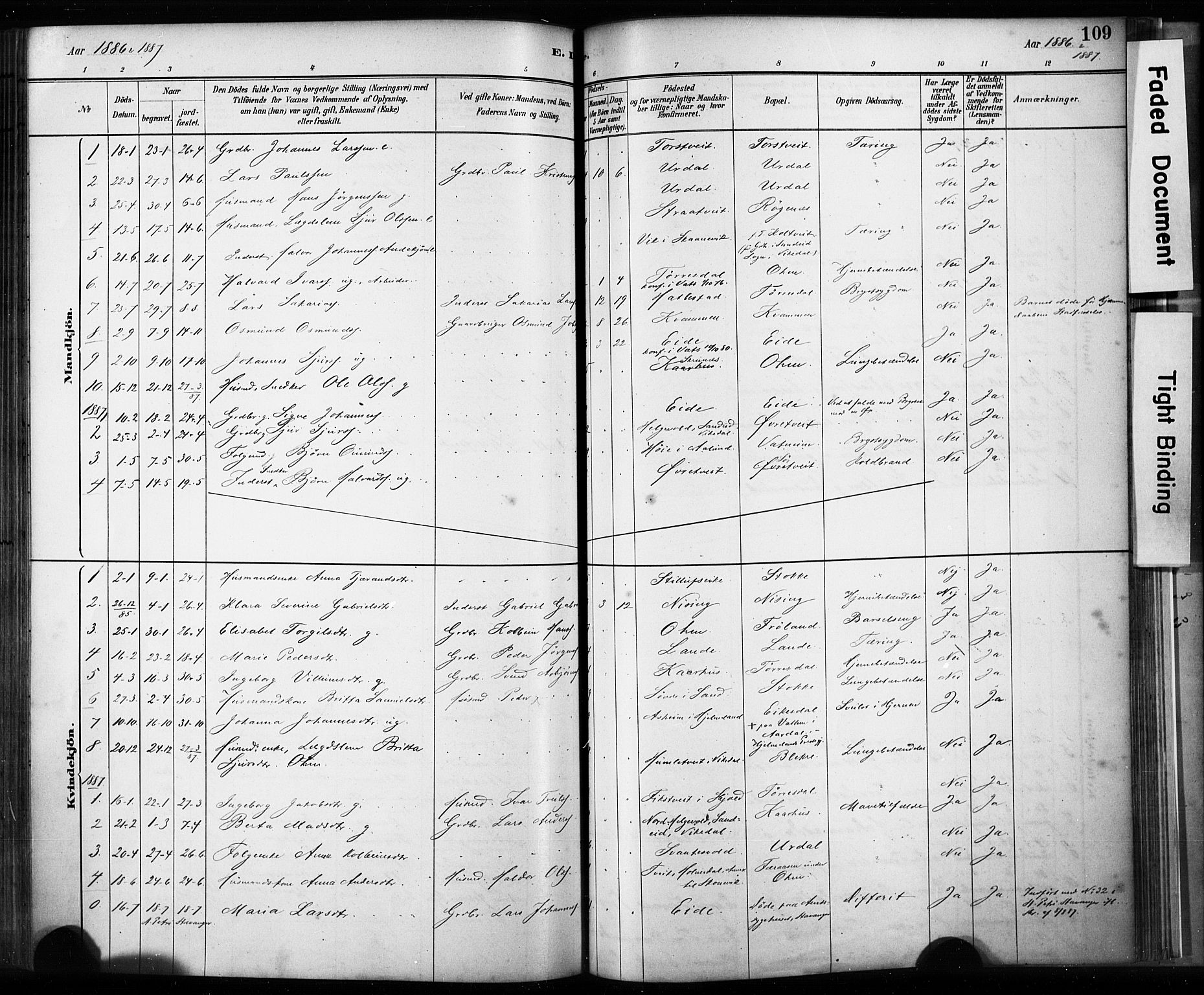 Skjold sokneprestkontor, AV/SAST-A-101847/H/Ha/Haa/L0009: Parish register (official) no. A 9, 1882-1898, p. 109