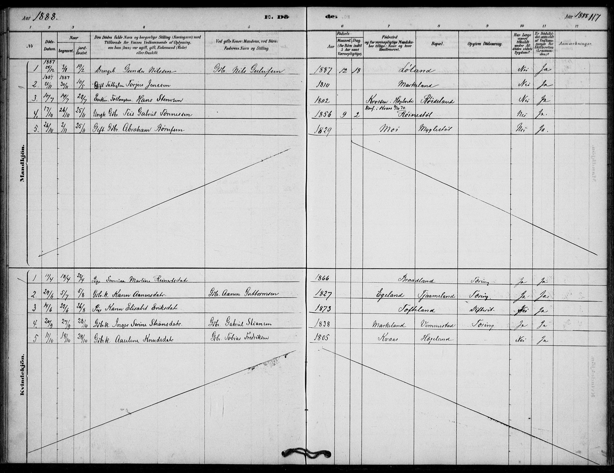 Lyngdal sokneprestkontor, SAK/1111-0029/F/Fa/Fab/L0003: Parish register (official) no. A 3, 1878-1903, p. 117