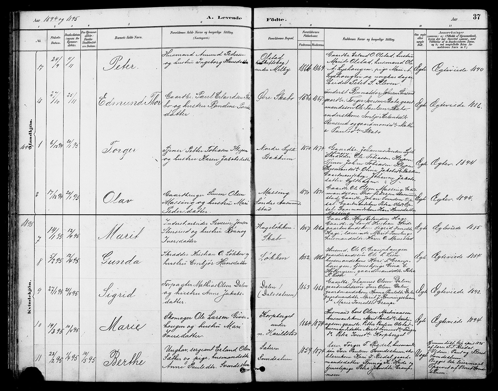 Nord-Fron prestekontor, SAH/PREST-080/H/Ha/Hab/L0005: Parish register (copy) no. 5, 1884-1914, p. 37