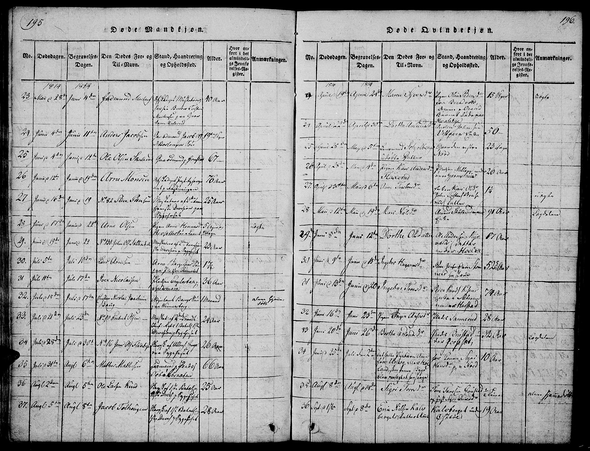 Vinger prestekontor, SAH/PREST-024/H/Ha/Hab/L0001: Parish register (copy) no. 1, 1814-1825, p. 195-196