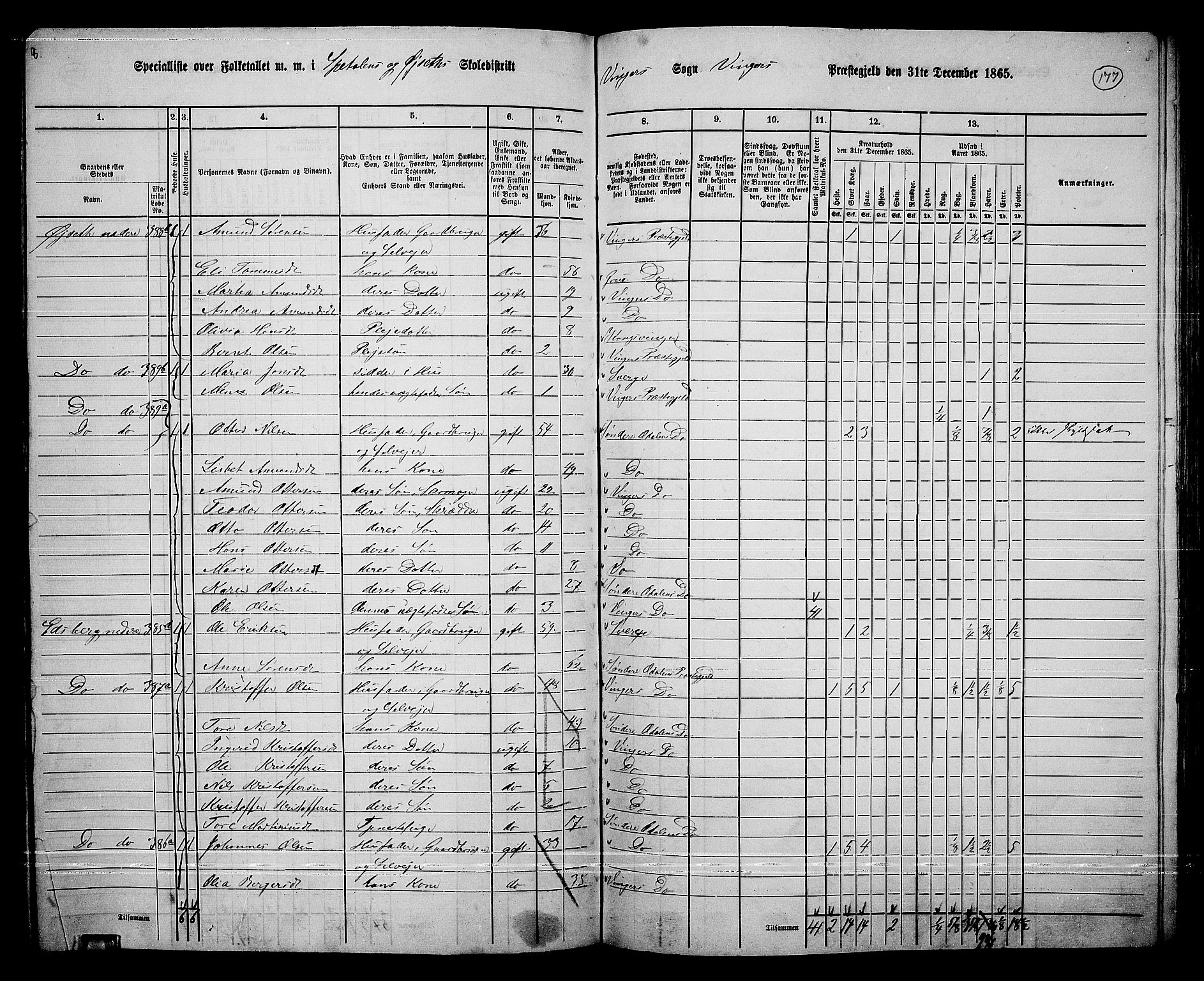 RA, 1865 census for Vinger/Vinger og Austmarka, 1865, p. 162