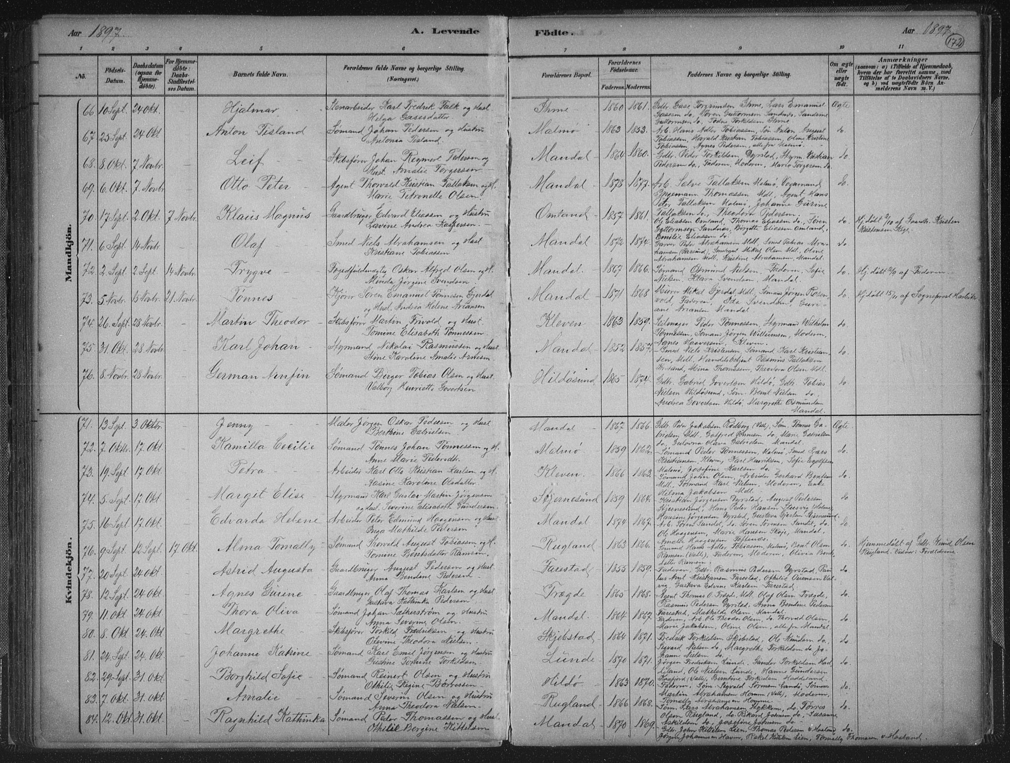 Mandal sokneprestkontor, AV/SAK-1111-0030/F/Fb/Fba/L0011: Parish register (copy) no. B 5, 1880-1898, p. 172