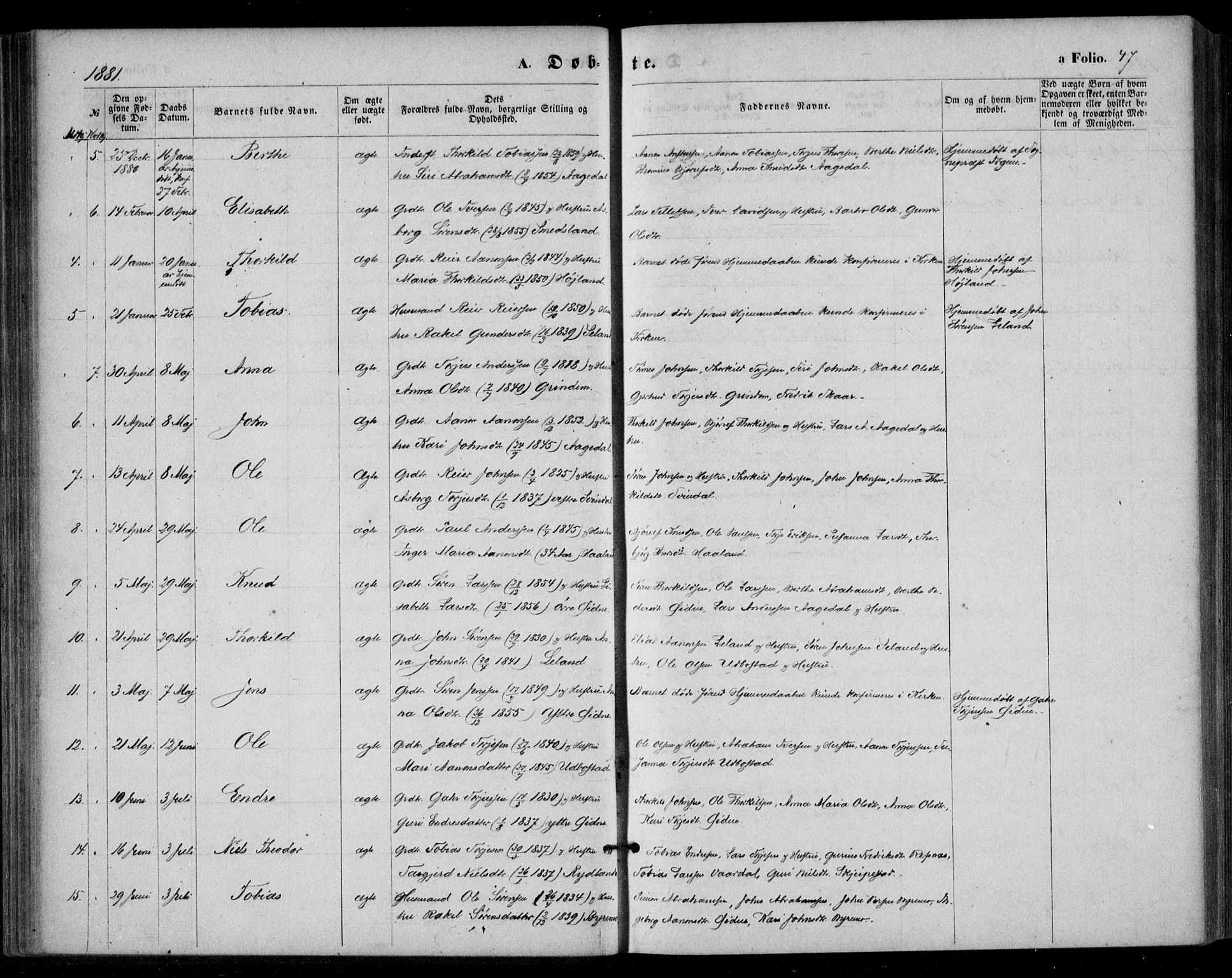 Bjelland sokneprestkontor, AV/SAK-1111-0005/F/Fa/Fac/L0002: Parish register (official) no. A 2, 1866-1887, p. 47