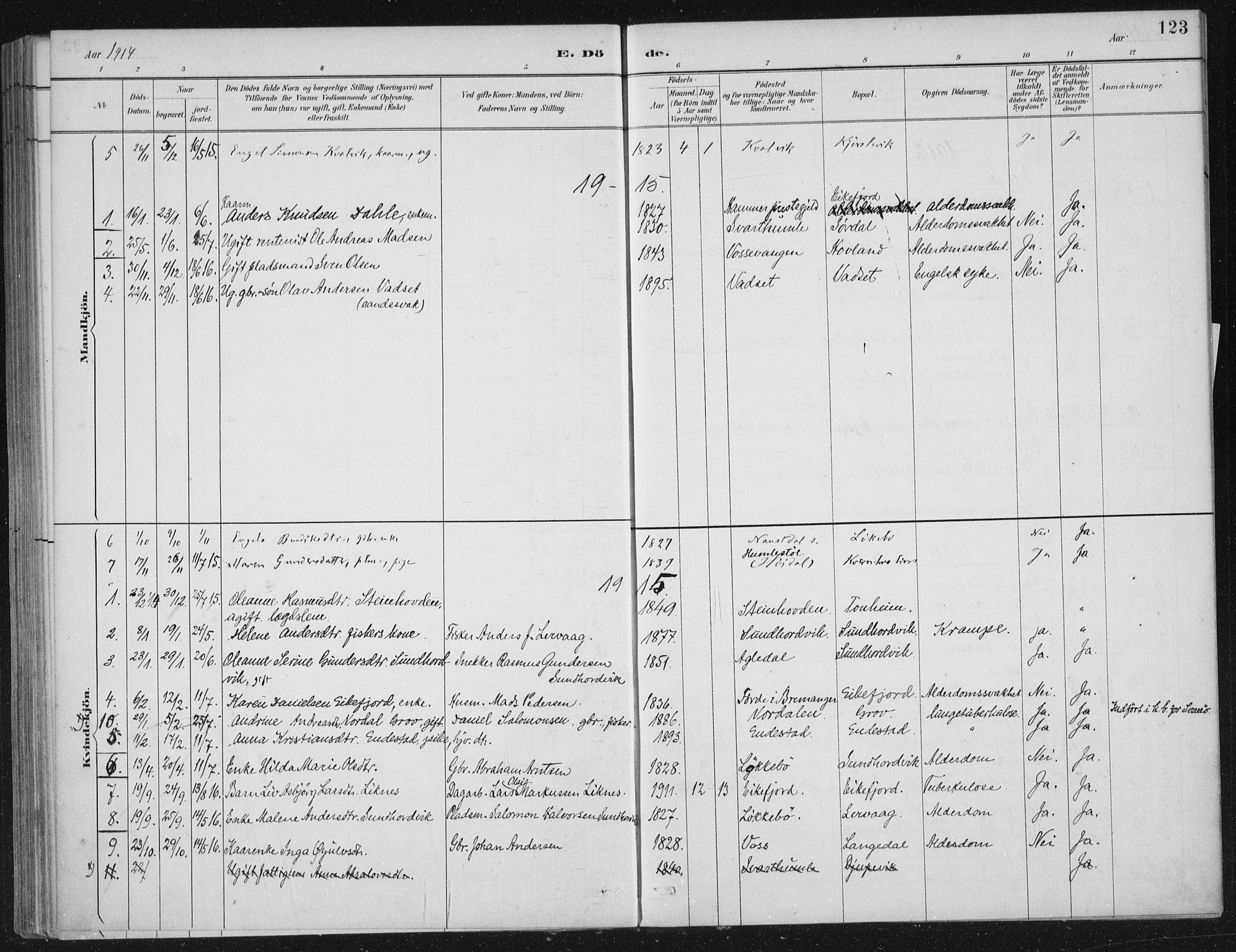 Kinn sokneprestembete, AV/SAB-A-80801/H/Haa/Haae/L0001: Parish register (official) no. E 1, 1890-1916, p. 123