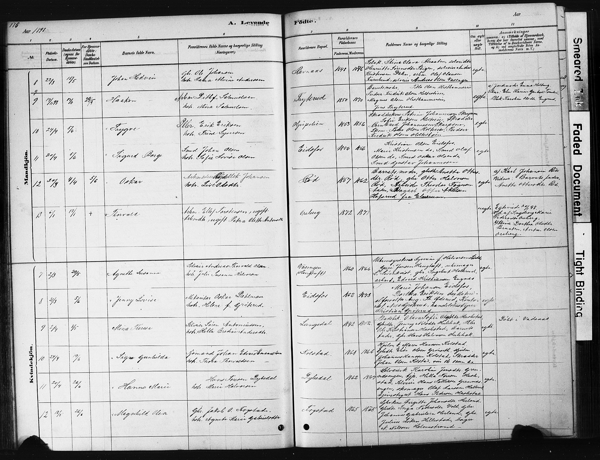 Hof kirkebøker, AV/SAKO-A-64/G/Ga/L0004: Parish register (copy) no. I 4, 1878-1930, p. 116