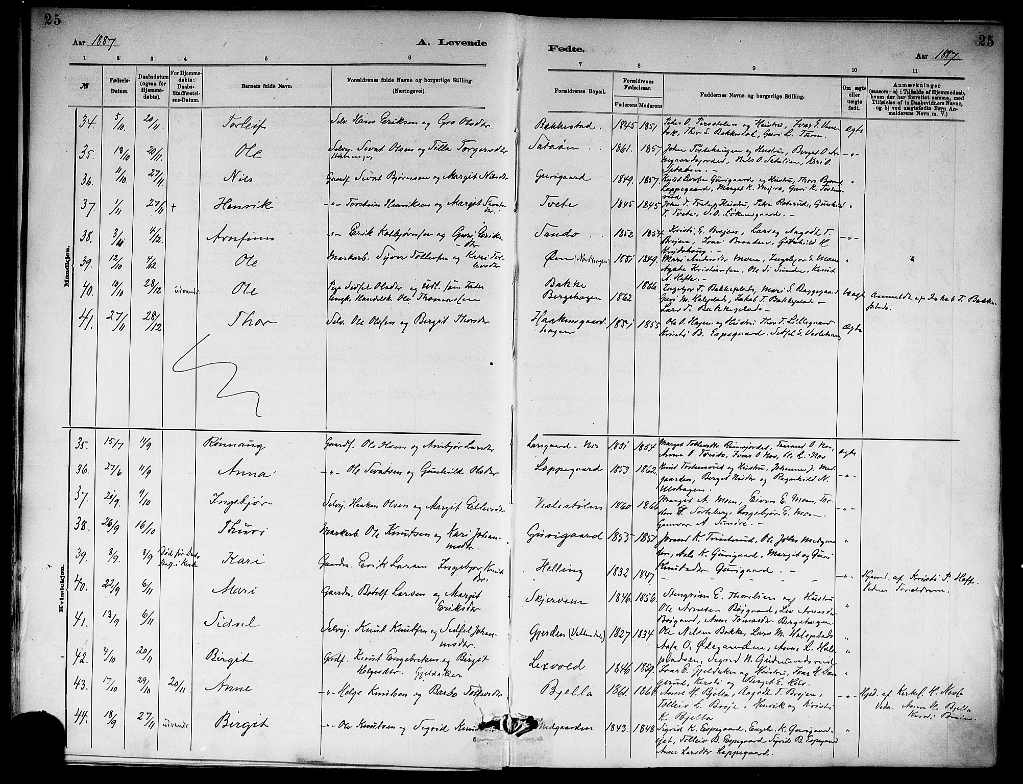 Ål kirkebøker, AV/SAKO-A-249/F/Fa/L0008: Parish register (official) no. I 8, 1882-1896, p. 25