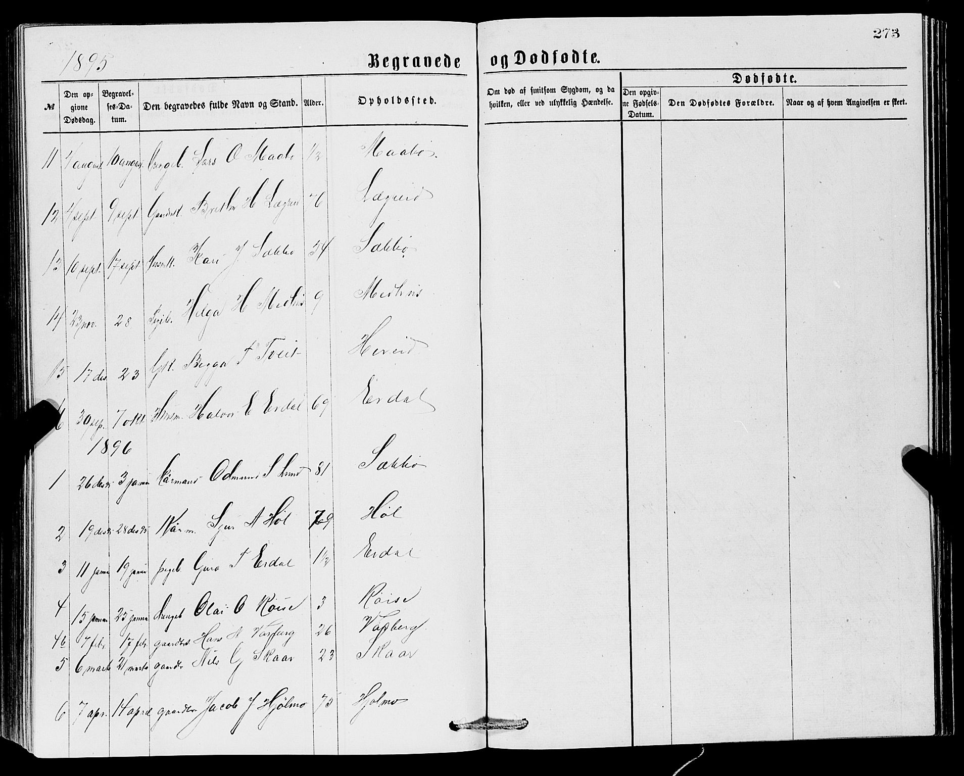Ullensvang sokneprestembete, SAB/A-78701/H/Hab: Parish register (copy) no. C 2, 1871-1899, p. 273