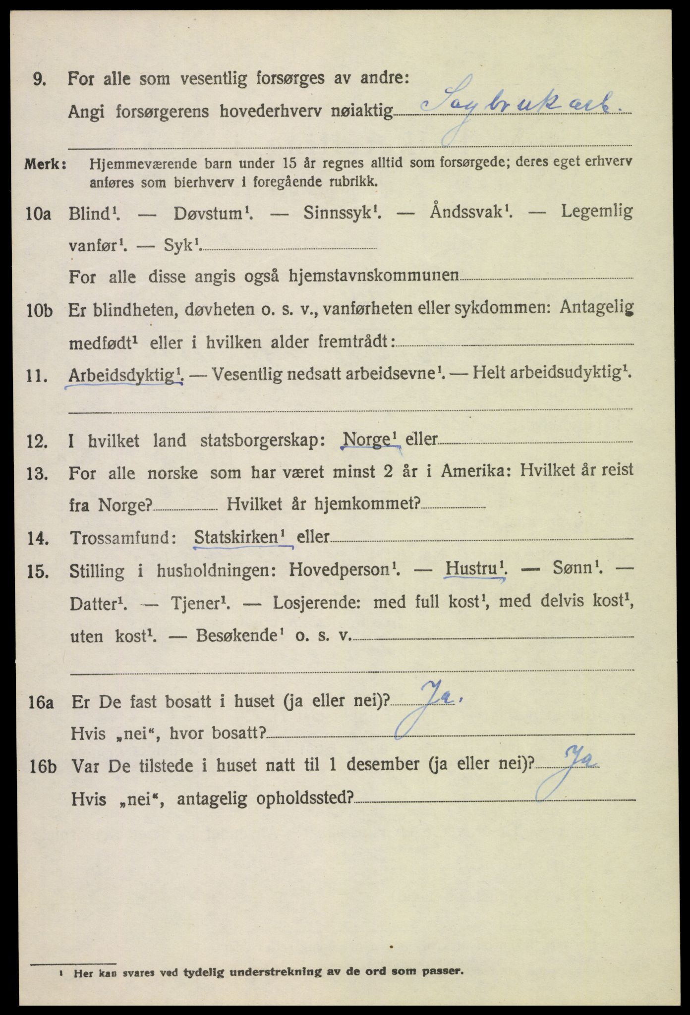 SAH, 1920 census for Vestre Toten, 1920, p. 11137