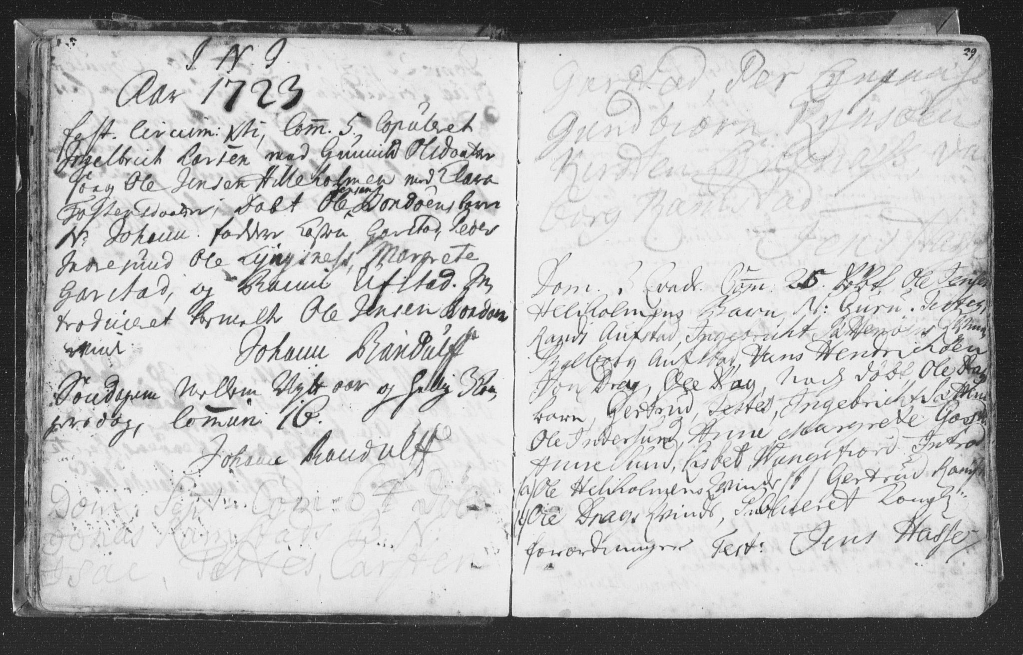 Ministerialprotokoller, klokkerbøker og fødselsregistre - Nord-Trøndelag, SAT/A-1458/786/L0685: Parish register (official) no. 786A01, 1710-1798, p. 29