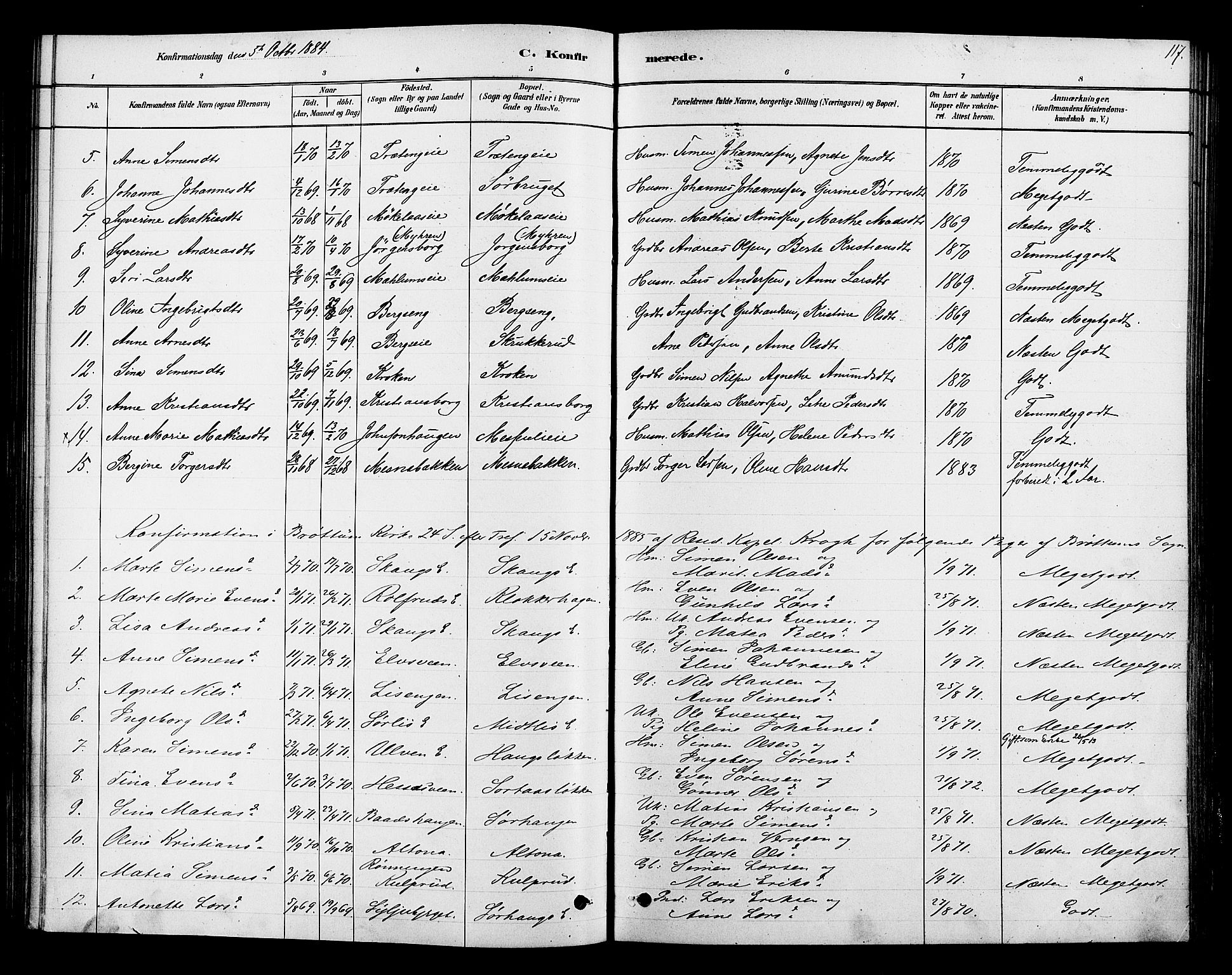 Ringsaker prestekontor, AV/SAH-PREST-014/K/Ka/L0013: Parish register (official) no. 13, 1879-1890, p. 117