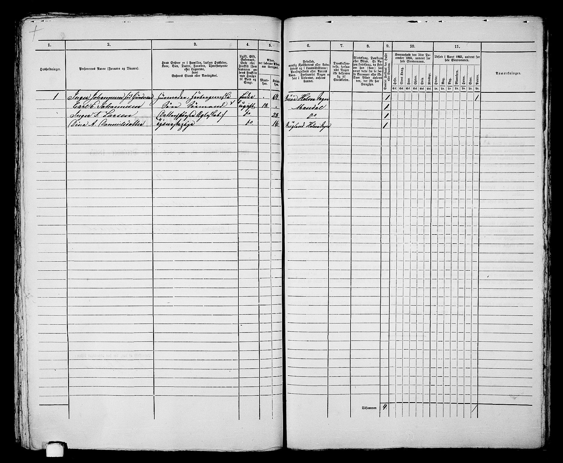 RA, 1865 census for Mandal/Mandal, 1865, p. 443