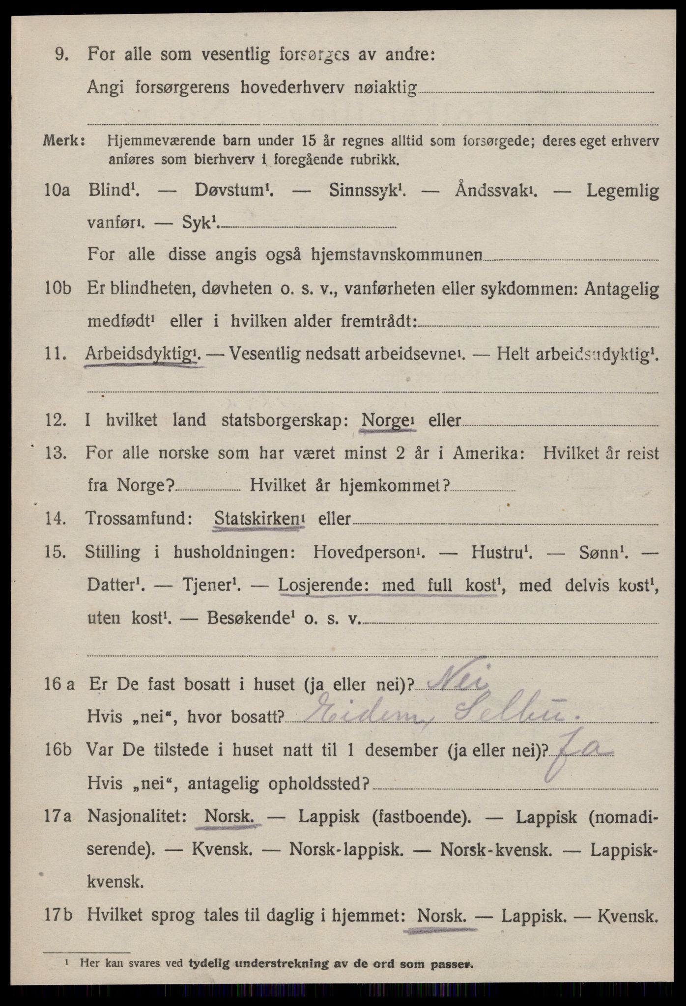 SAT, 1920 census for Selbu, 1920, p. 6999