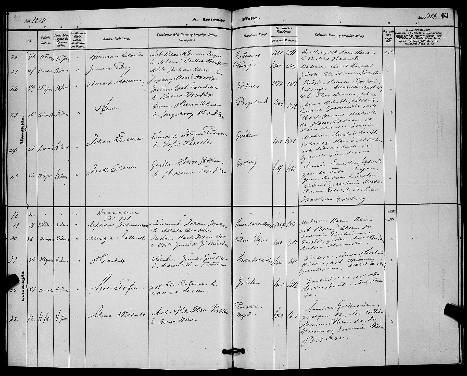 Solum kirkebøker, AV/SAKO-A-306/G/Ga/L0007: Parish register (copy) no. I 7, 1884-1898, p. 63