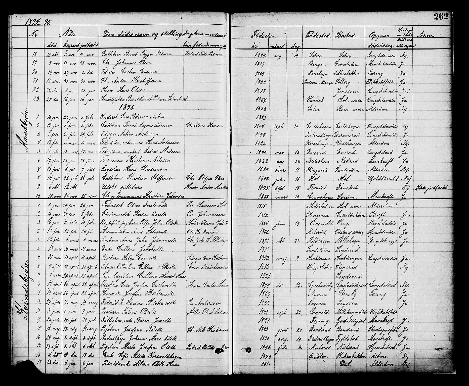 Vestre Toten prestekontor, SAH/PREST-108/H/Ha/Hab/L0008: Parish register (copy) no. 8, 1885-1900, p. 262