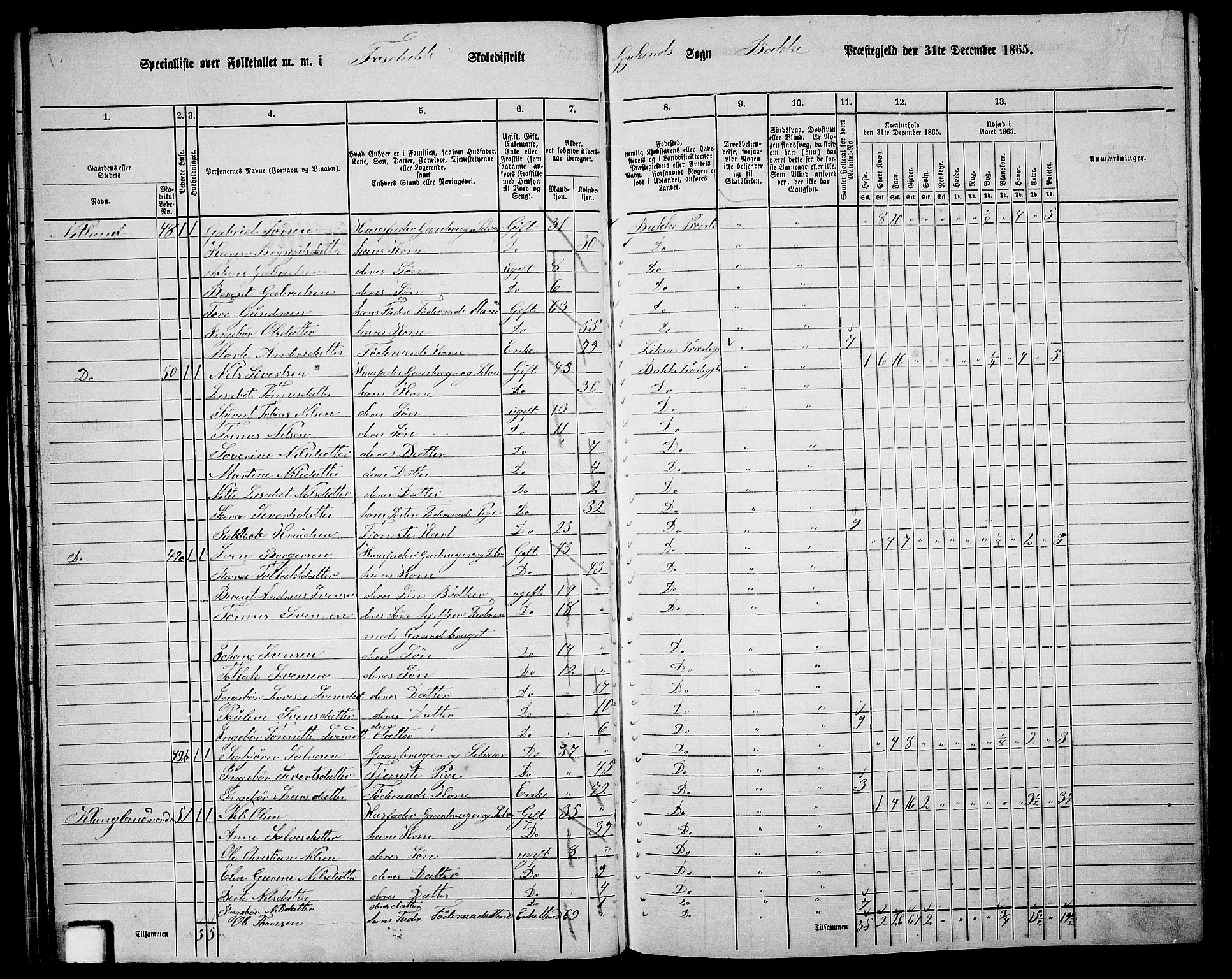 RA, 1865 census for Bakke, 1865, p. 30