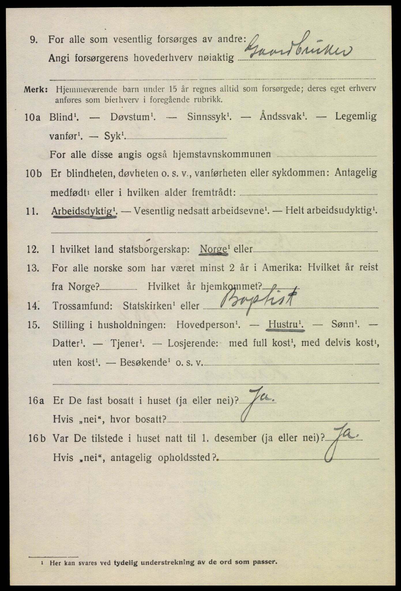 SAH, 1920 census for Trysil, 1920, p. 9776