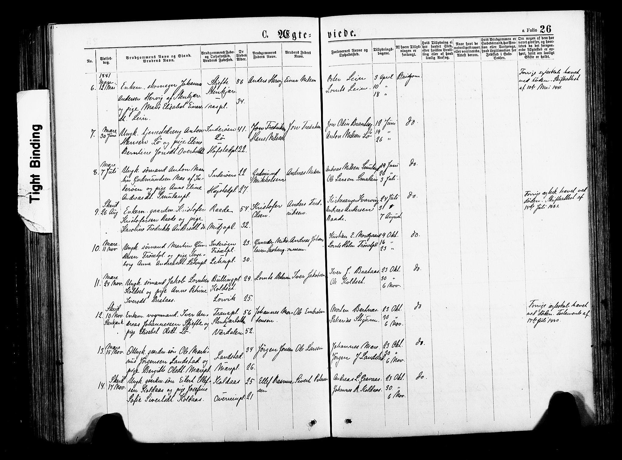 Ministerialprotokoller, klokkerbøker og fødselsregistre - Nord-Trøndelag, AV/SAT-A-1458/735/L0348: Parish register (official) no. 735A09 /1, 1873-1883, p. 26