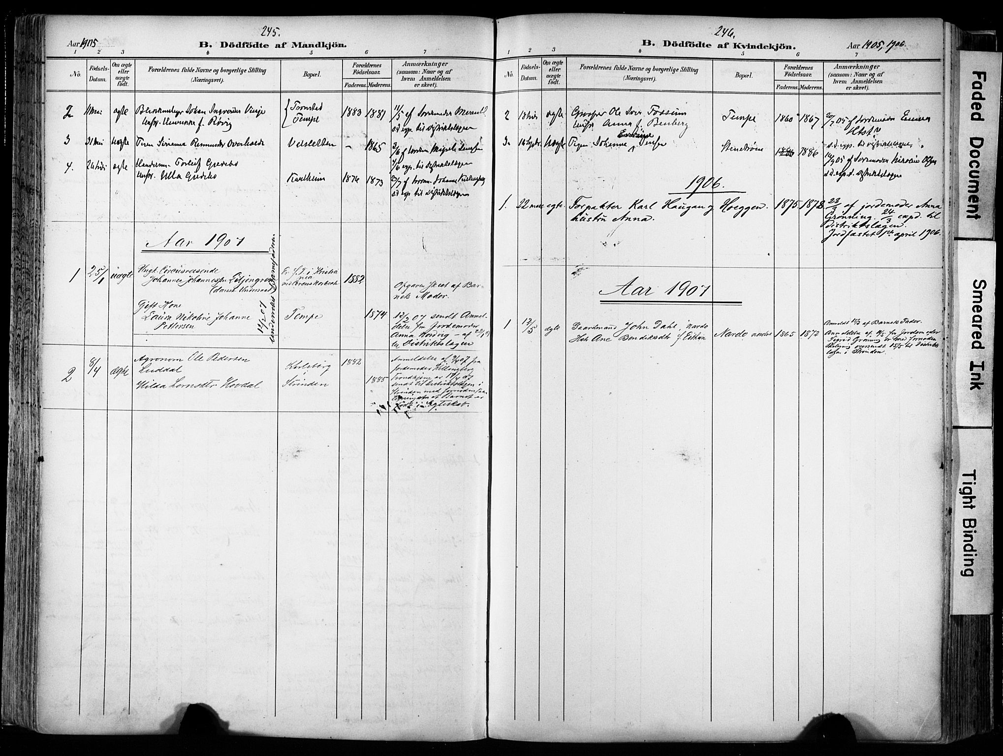 Ministerialprotokoller, klokkerbøker og fødselsregistre - Sør-Trøndelag, AV/SAT-A-1456/606/L0301: Parish register (official) no. 606A16, 1894-1907, p. 245-246